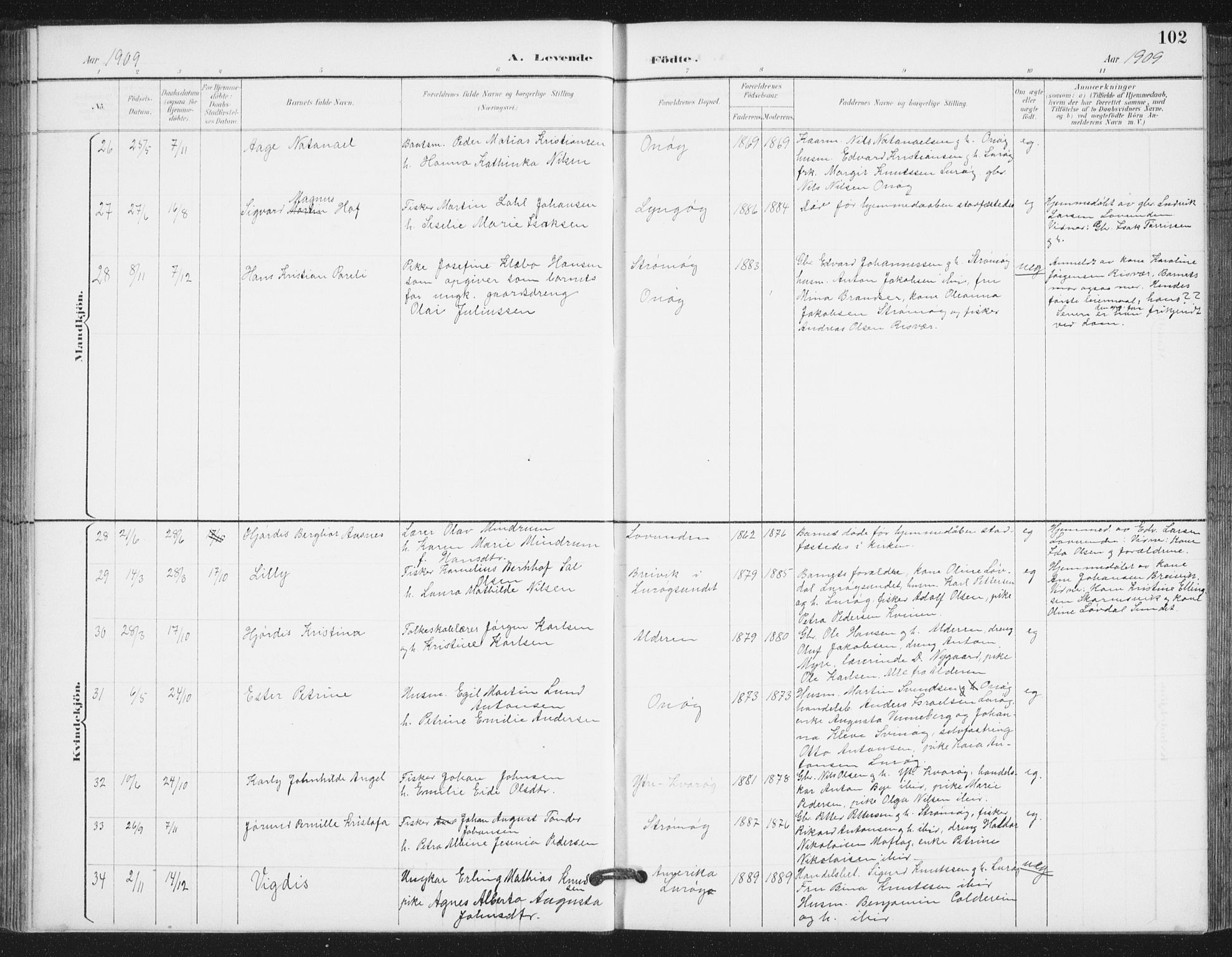 Ministerialprotokoller, klokkerbøker og fødselsregistre - Nordland, AV/SAT-A-1459/839/L0573: Parish register (copy) no. 839C03, 1892-1917, p. 102