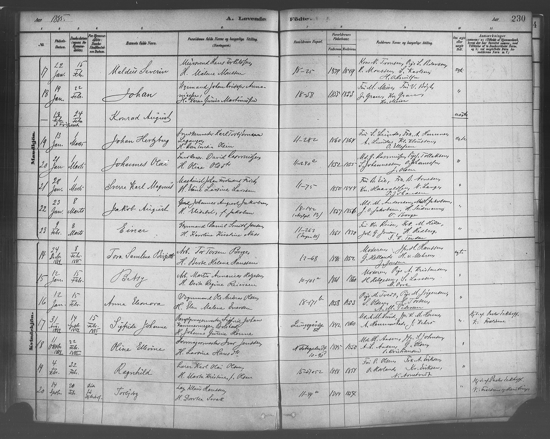 Domkirken sokneprestembete, AV/SAB-A-74801/H/Haa/L0023: Parish register (official) no. B 6, 1879-1887, p. 230