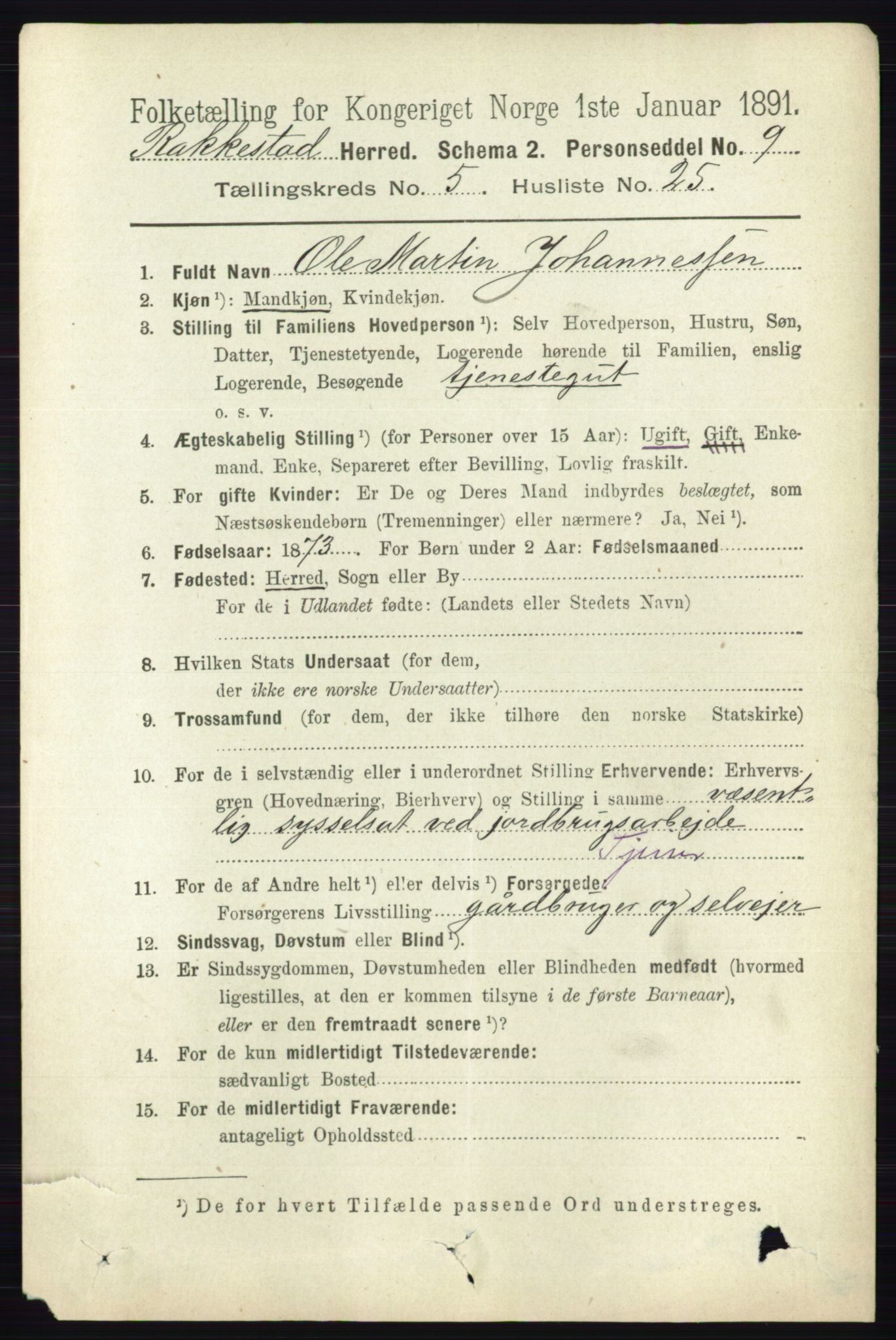 RA, 1891 census for 0128 Rakkestad, 1891, p. 2383