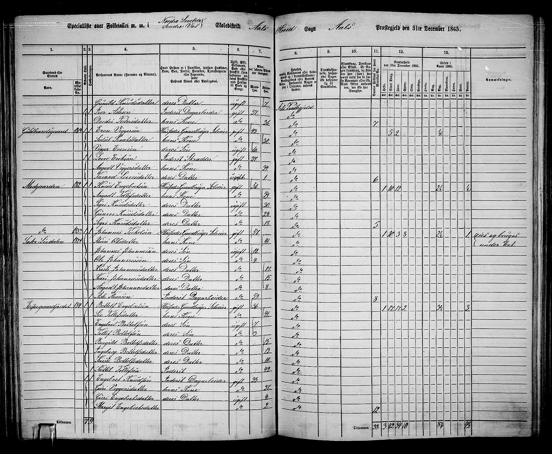 RA, 1865 census for Ål, 1865, p. 114