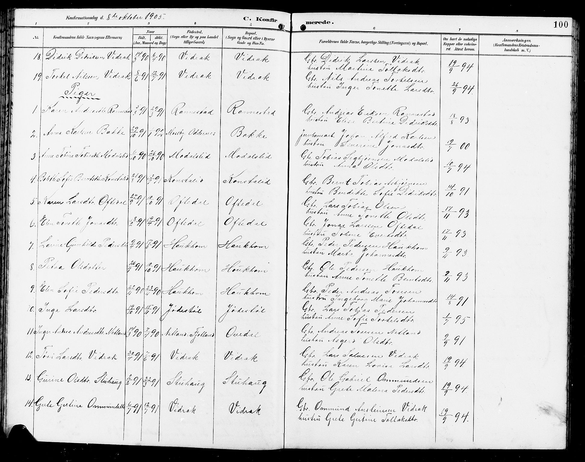 Bakke sokneprestkontor, AV/SAK-1111-0002/F/Fb/Fba/L0003: Parish register (copy) no. B 3, 1894-1910, p. 100