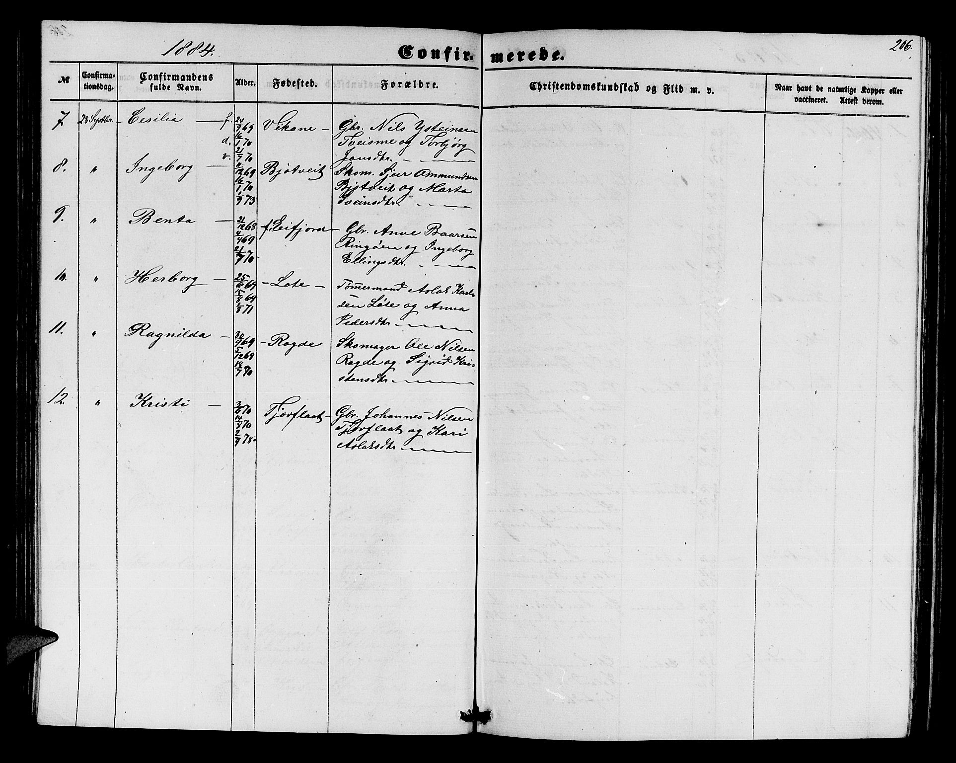 Ullensvang sokneprestembete, SAB/A-78701/H/Hab: Parish register (copy) no. E 6, 1857-1886, p. 206