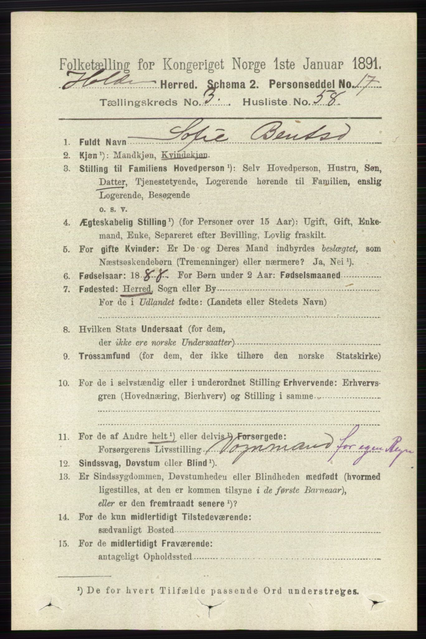 RA, 1891 census for 0819 Holla, 1891, p. 2054