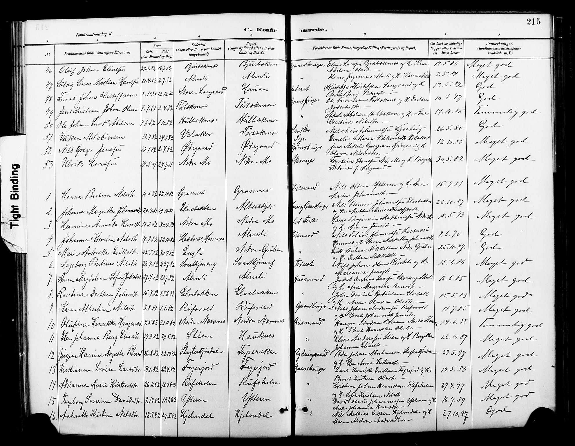 Ministerialprotokoller, klokkerbøker og fødselsregistre - Nordland, AV/SAT-A-1459/827/L0421: Parish register (copy) no. 827C10, 1887-1906, p. 215