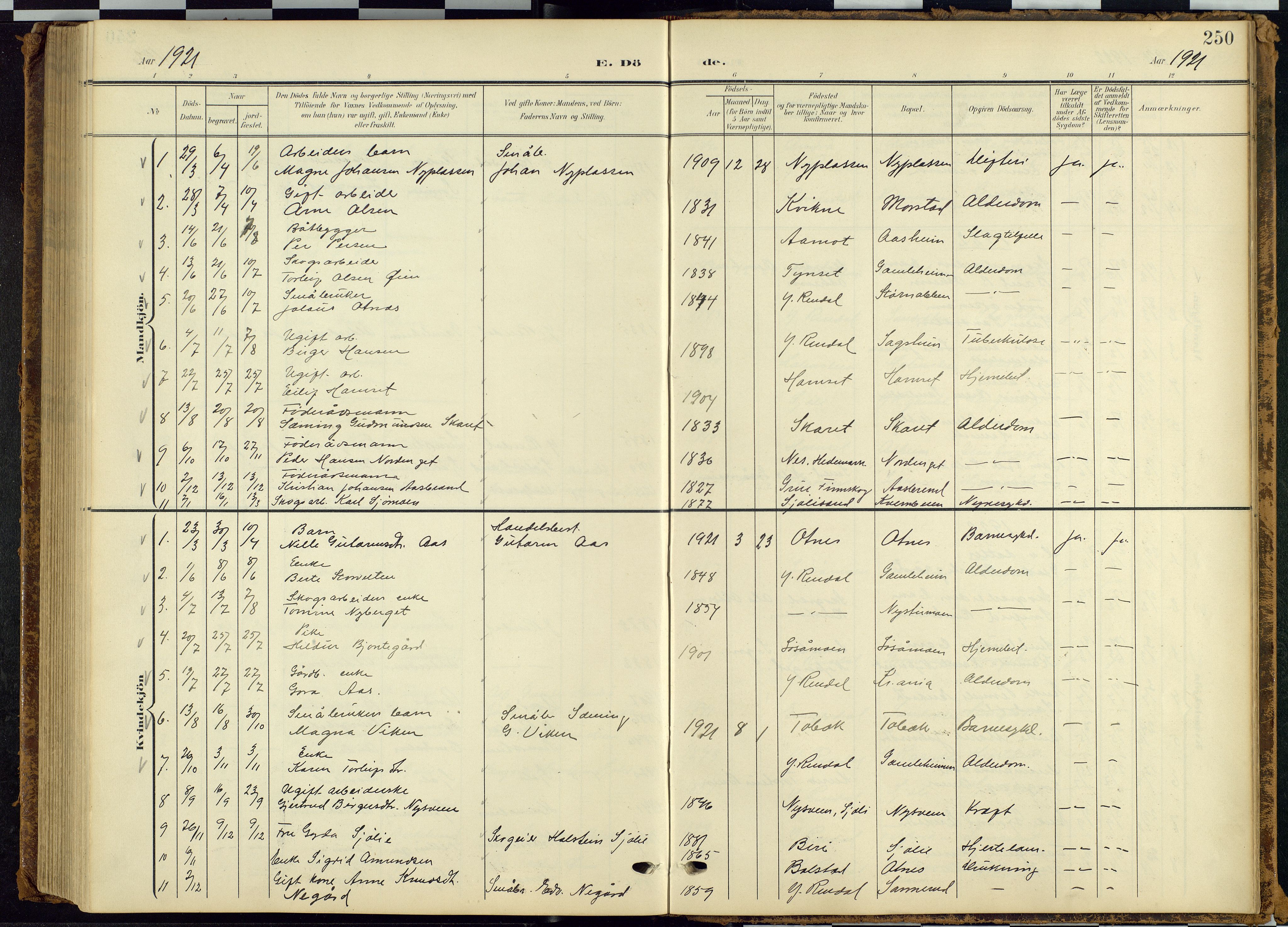 Rendalen prestekontor, SAH/PREST-054/H/Ha/Hab/L0010: Parish register (copy) no. 10, 1903-1940, p. 250