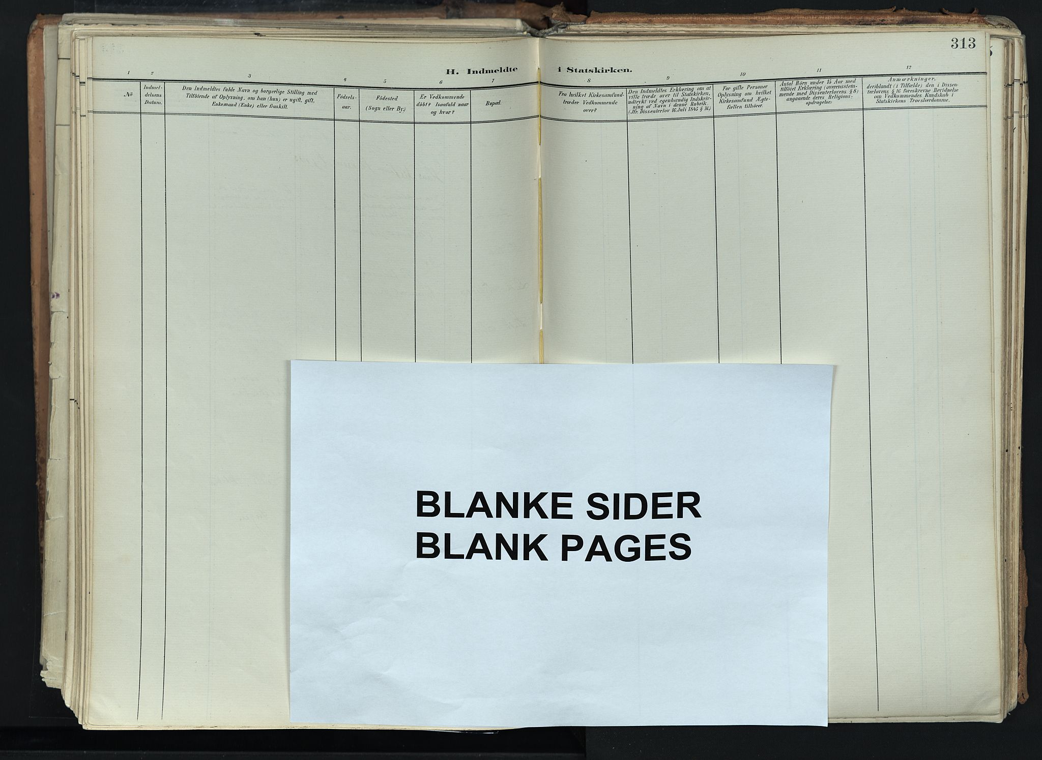 Brunlanes kirkebøker, AV/SAKO-A-342/F/Fc/L0003: Parish register (official) no. III 3, 1900-1922, p. 313