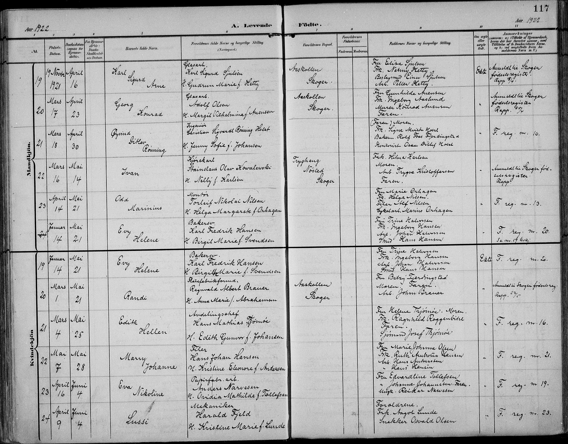 Strømsø kirkebøker, AV/SAKO-A-246/F/Fb/L0008: Parish register (official) no. II 8, 1902-1933, p. 117