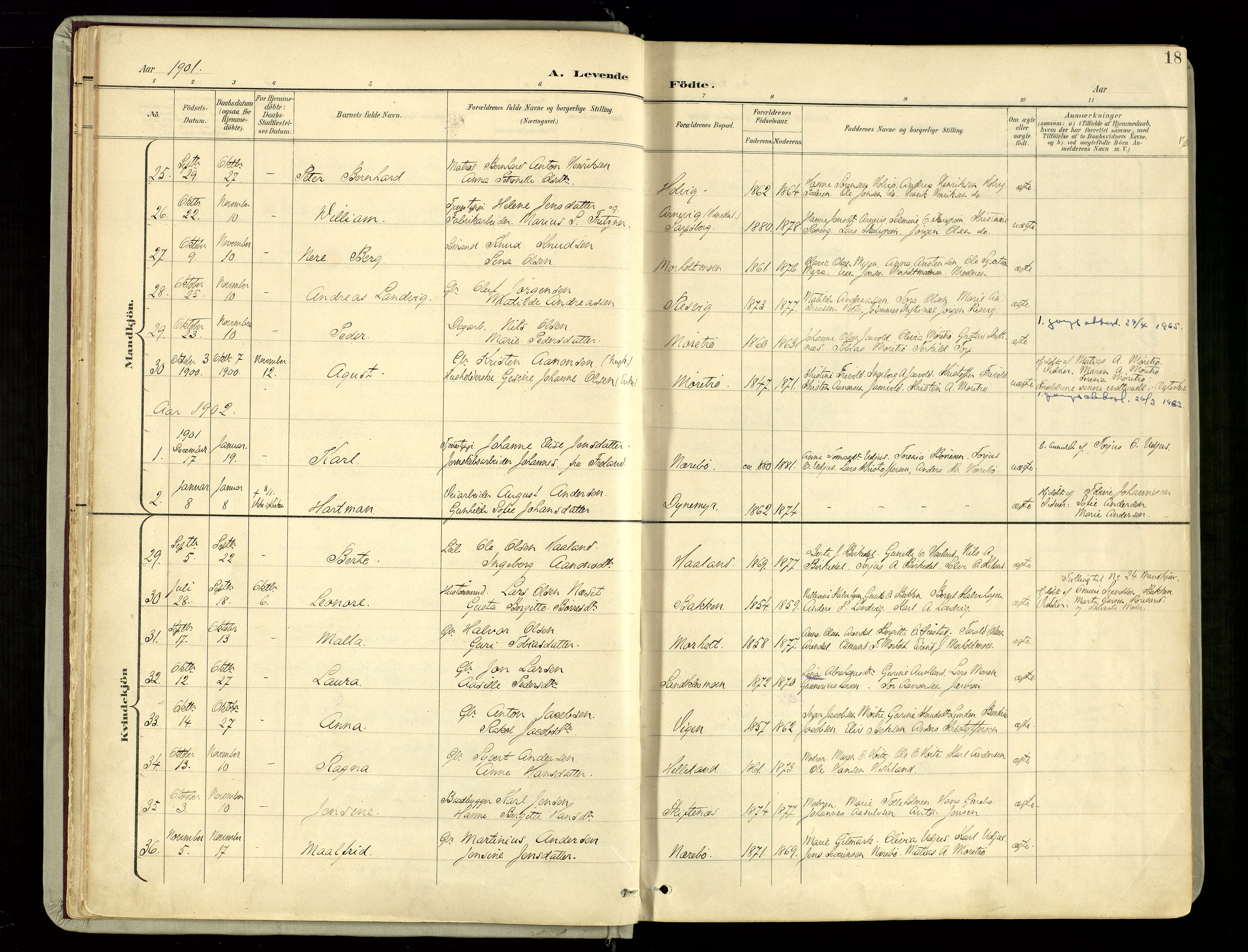 Hommedal sokneprestkontor, AV/SAK-1111-0023/F/Fa/Fab/L0007: Parish register (official) no. A 7, 1898-1924, p. 18