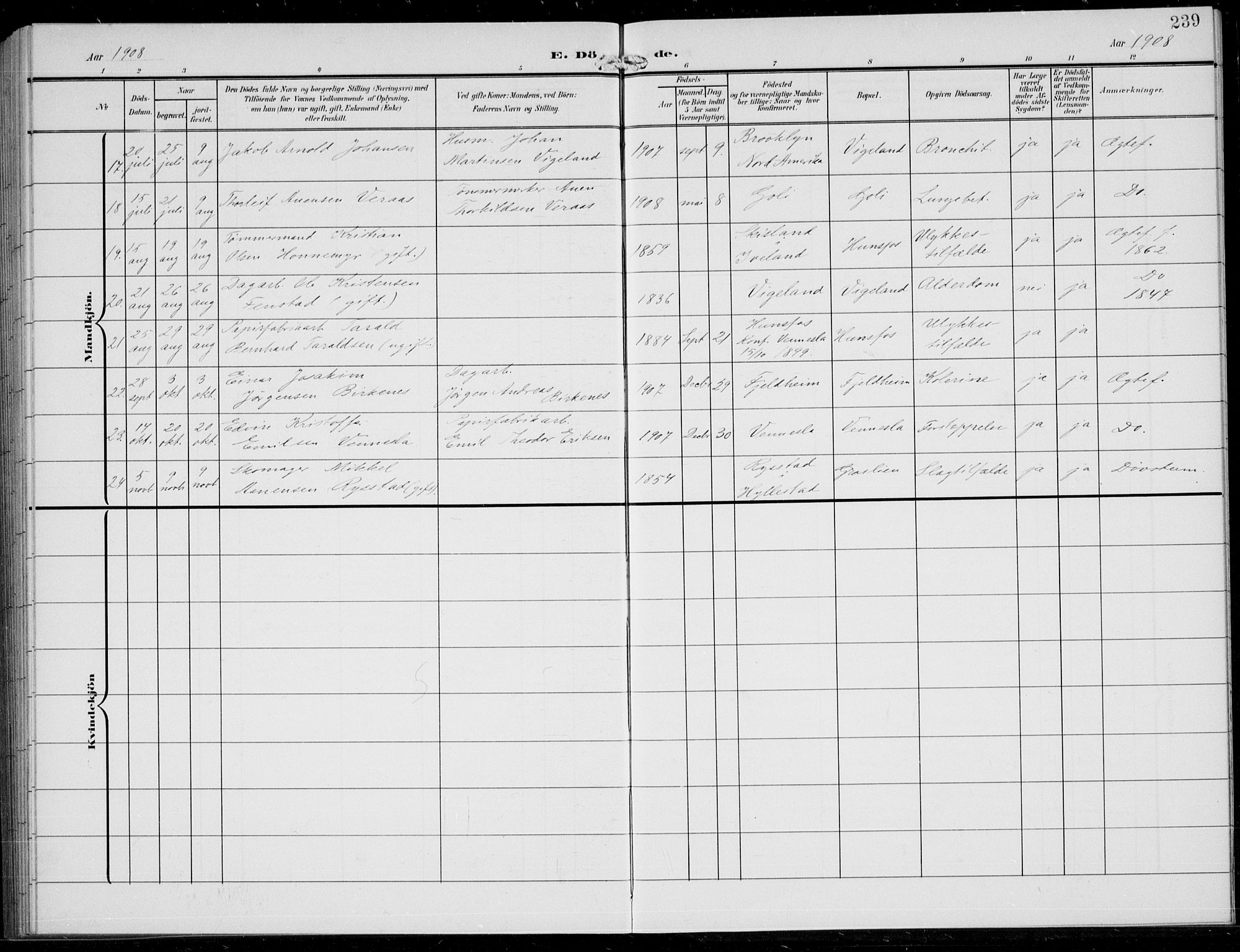 Vennesla sokneprestkontor, AV/SAK-1111-0045/Fb/Fbb/L0005: Parish register (copy) no. B 5, 1903-1913, p. 239