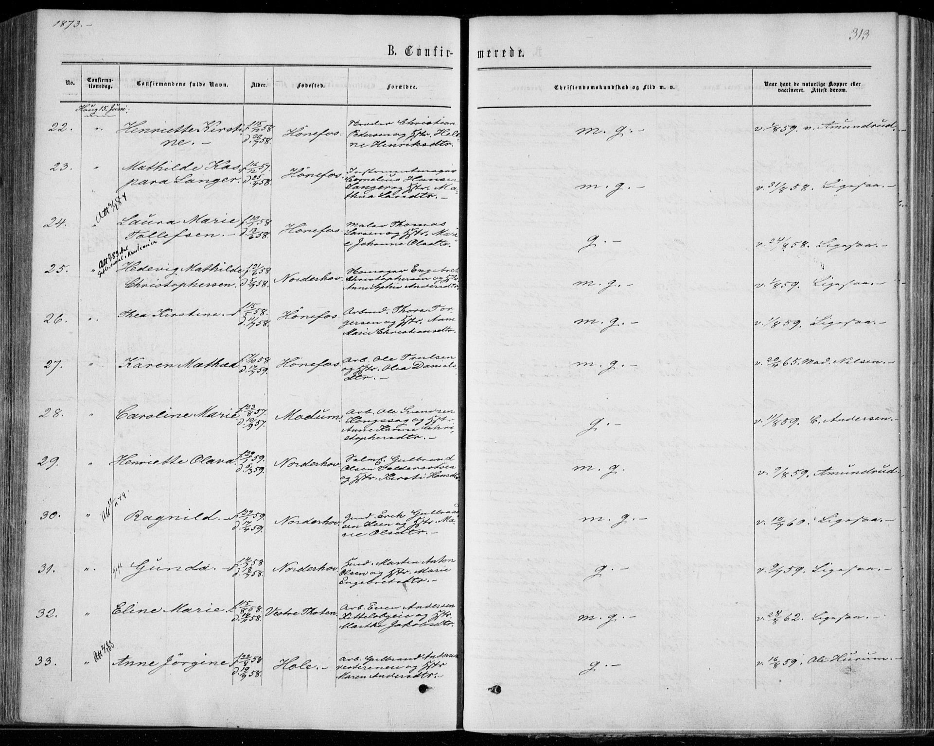 Norderhov kirkebøker, AV/SAKO-A-237/F/Fa/L0013: Parish register (official) no. 13, 1866-1874, p. 313