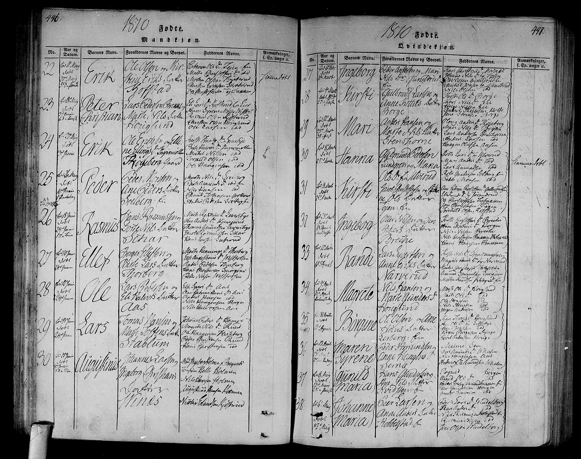 Eiker kirkebøker, SAKO/A-4/F/Fa/L0010: Parish register (official) no. I 10, 1806-1815, p. 446-447