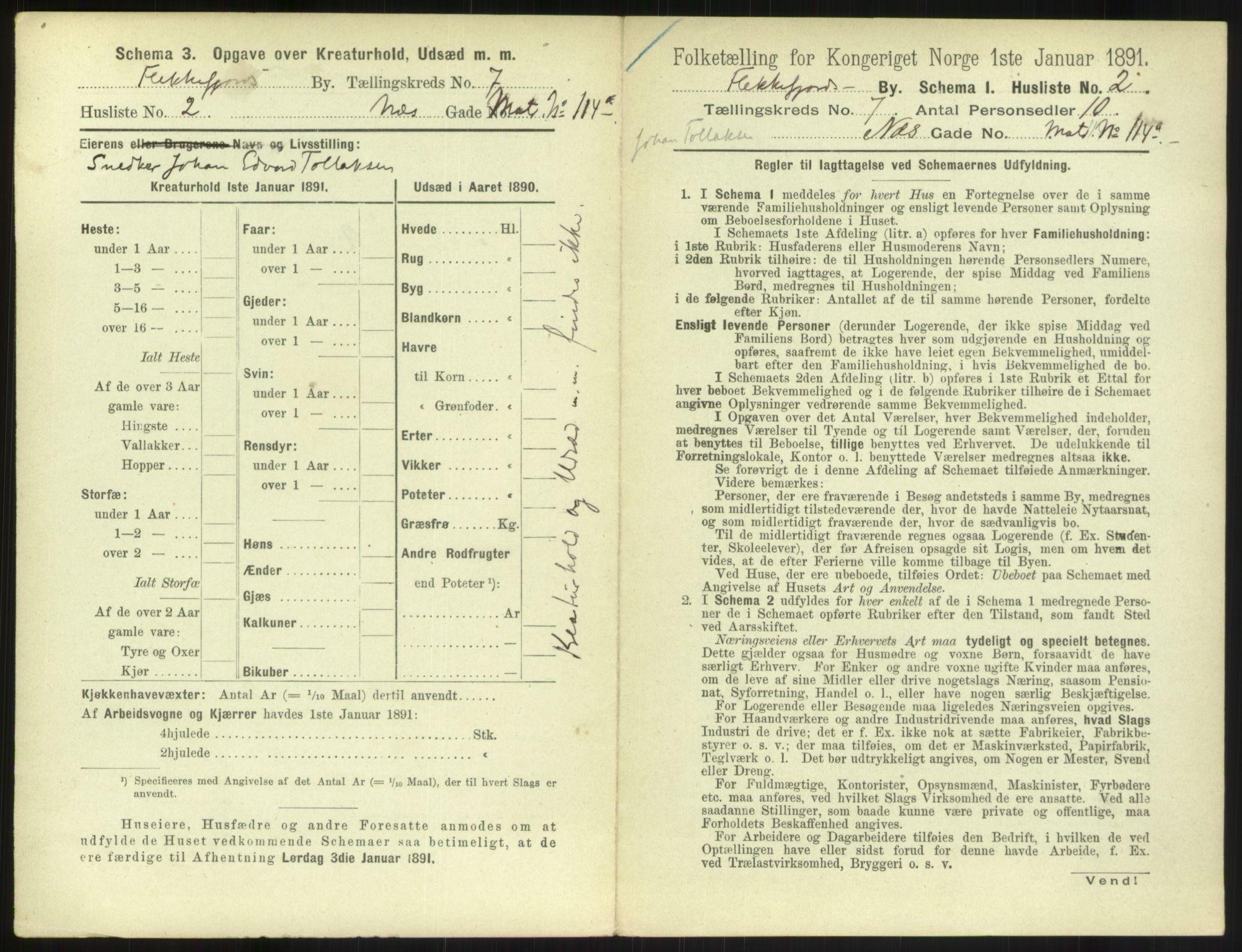 RA, 1891 census for 1004 Flekkefjord, 1891, p. 256