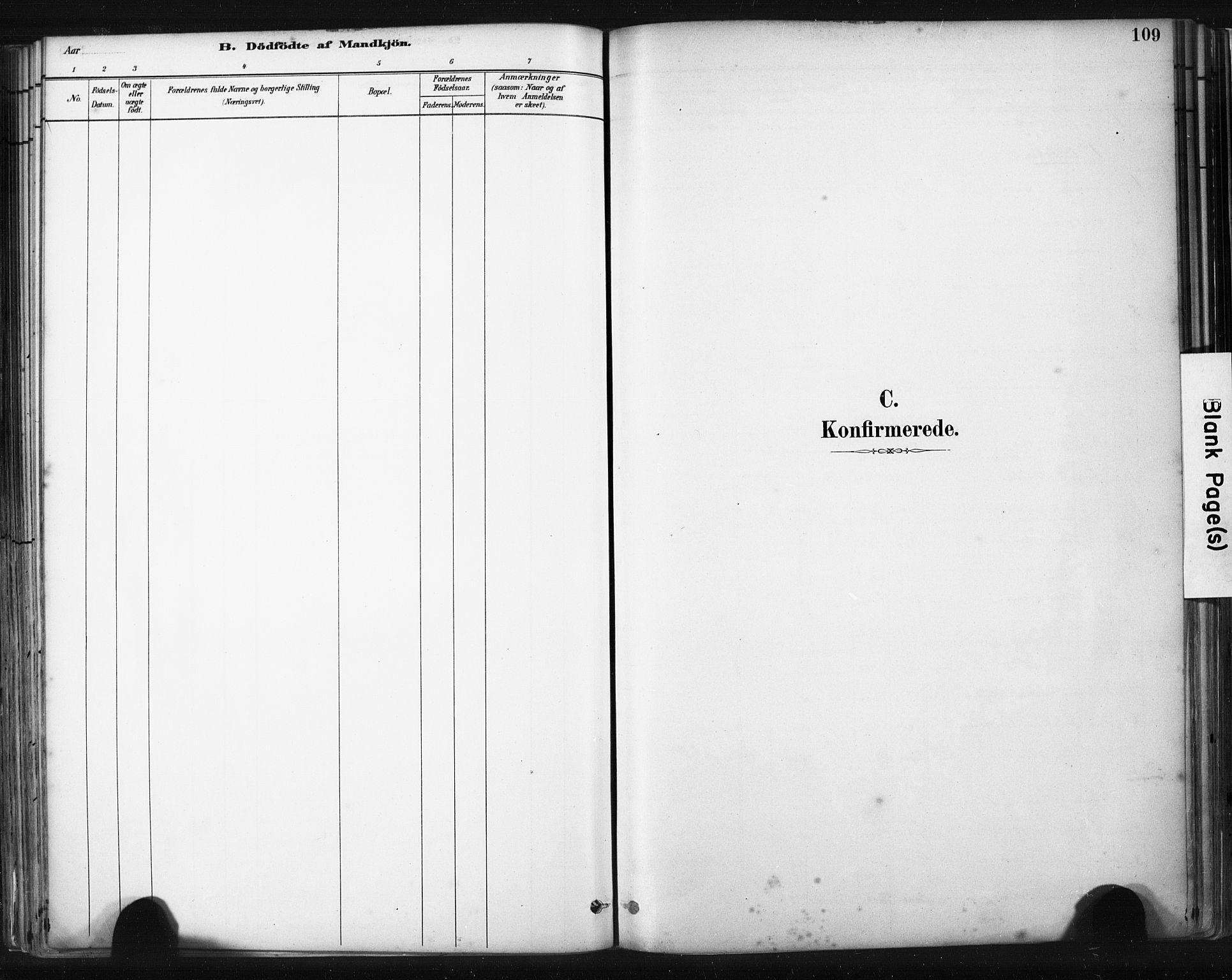 Skudenes sokneprestkontor, AV/SAST-A -101849/H/Ha/Haa/L0008: Parish register (official) no. A 5, 1882-1912, p. 109