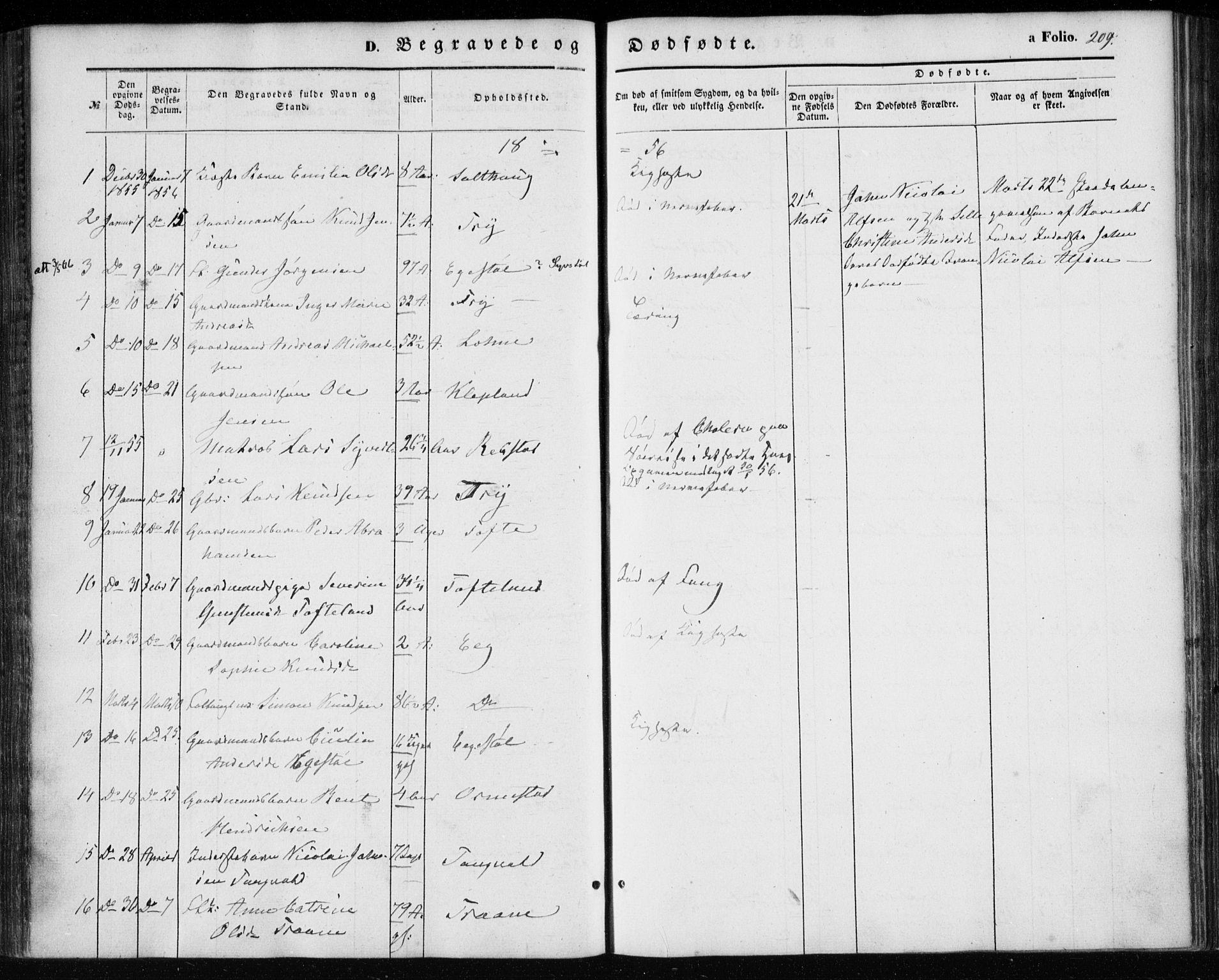 Søgne sokneprestkontor, AV/SAK-1111-0037/F/Fa/Fab/L0010: Parish register (official) no. A 10, 1853-1869, p. 209