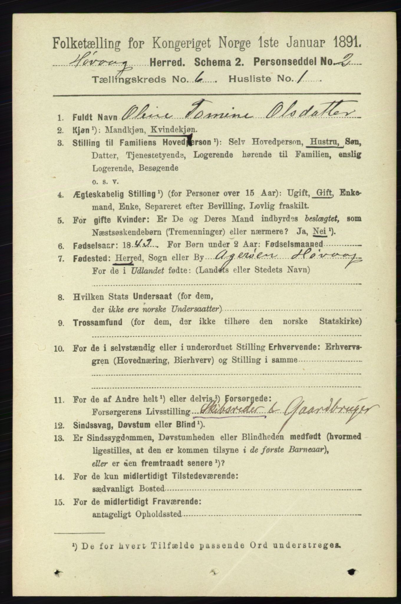 RA, 1891 census for 0927 Høvåg, 1891, p. 2217