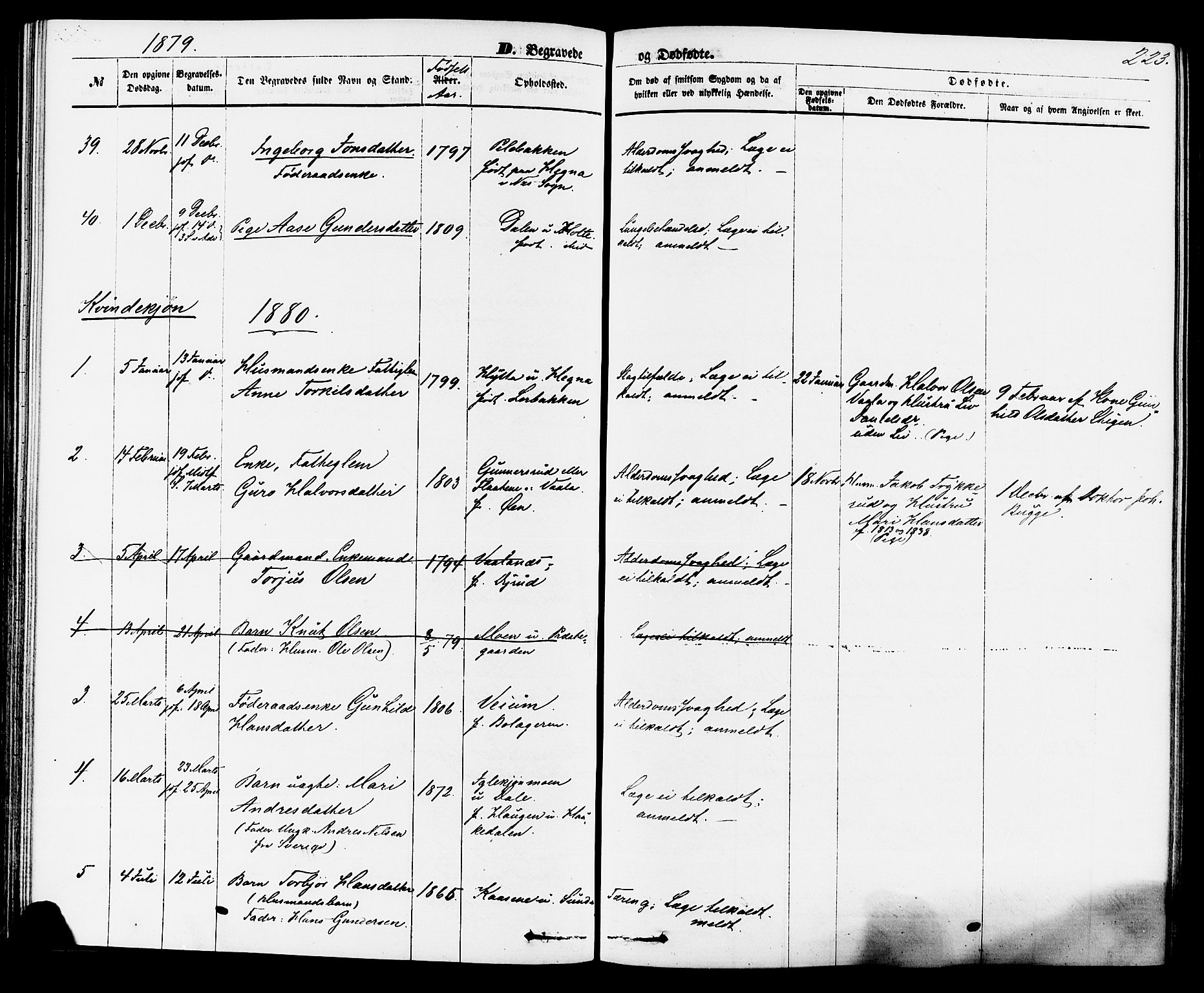 Sauherad kirkebøker, AV/SAKO-A-298/F/Fa/L0008: Parish register (official) no. I 8, 1873-1886, p. 223