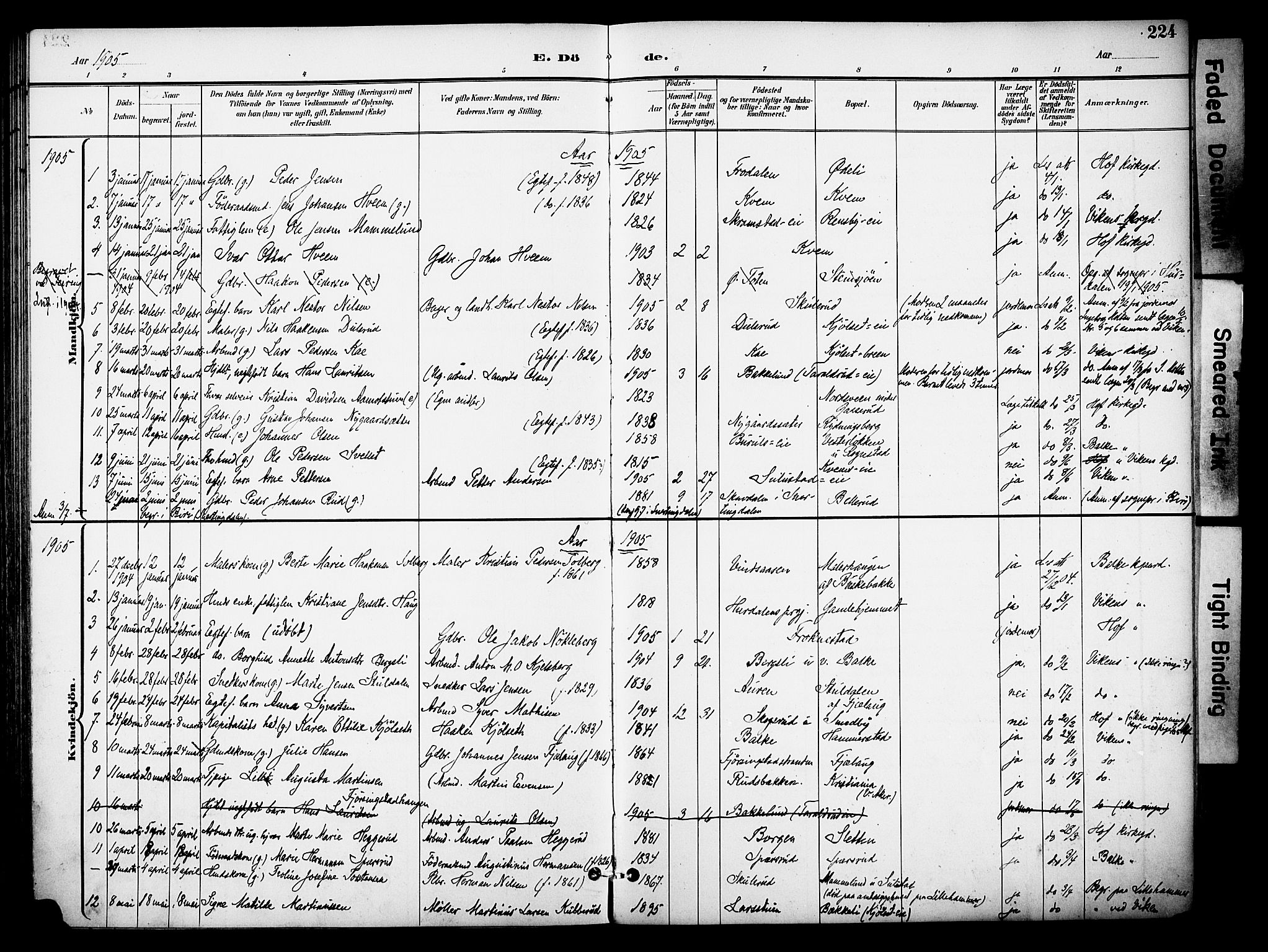 Østre Toten prestekontor, AV/SAH-PREST-104/H/Ha/Haa/L0009: Parish register (official) no. 9, 1897-1913, p. 224