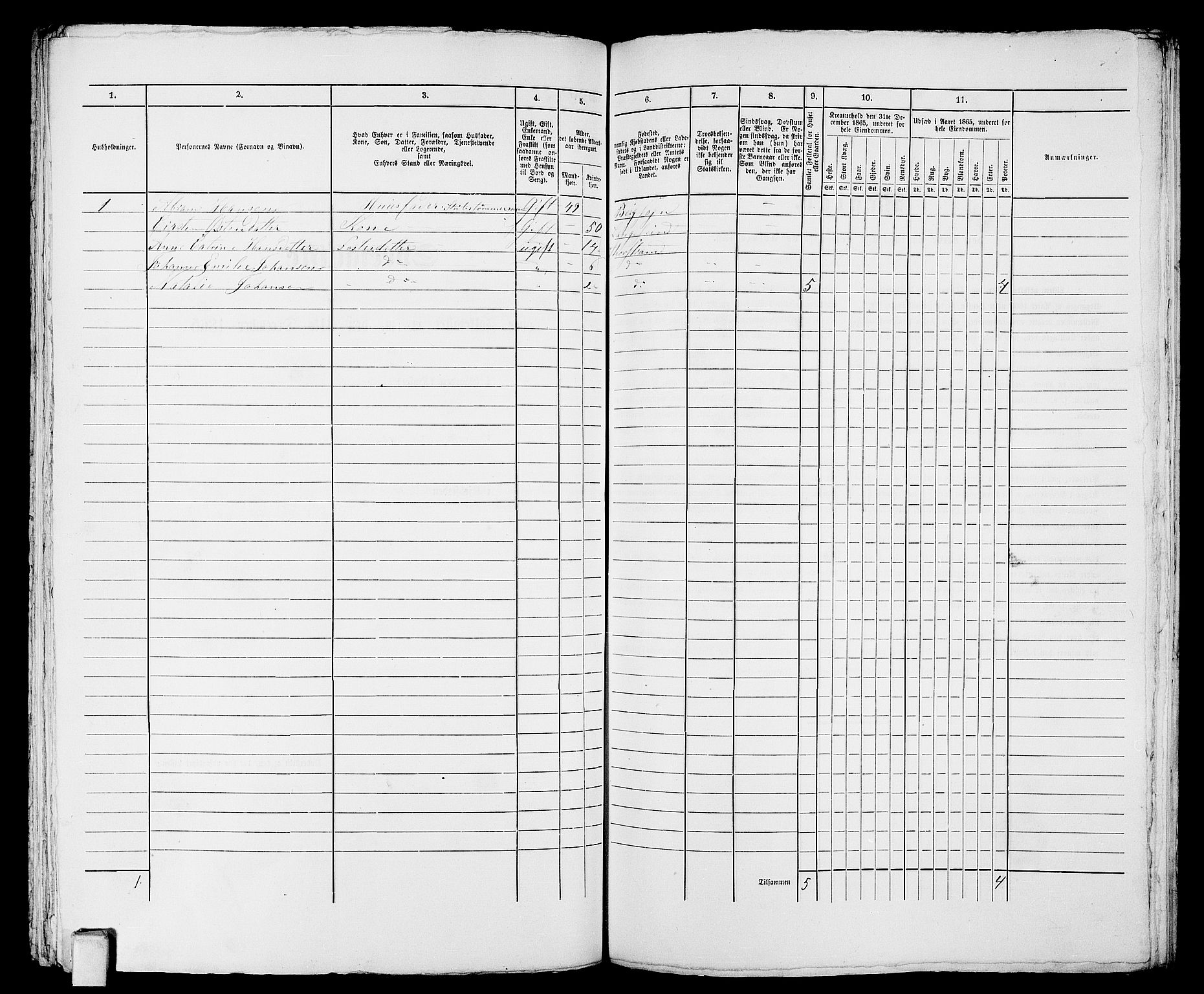 RA, 1865 census for Larvik, 1865, p. 949