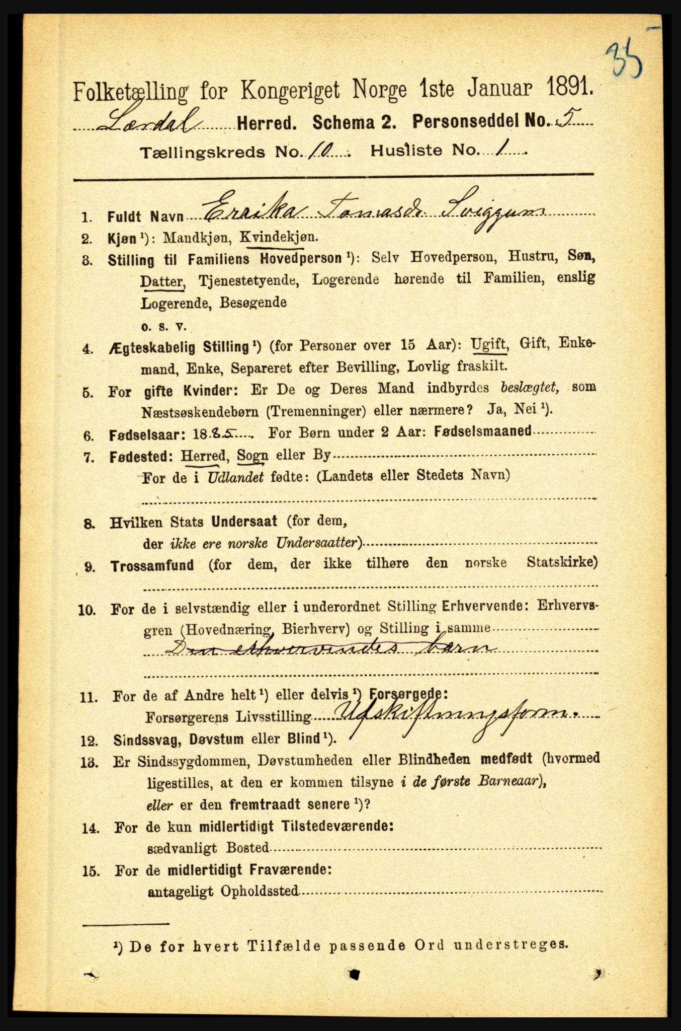 RA, 1891 census for 1422 Lærdal, 1891, p. 1701