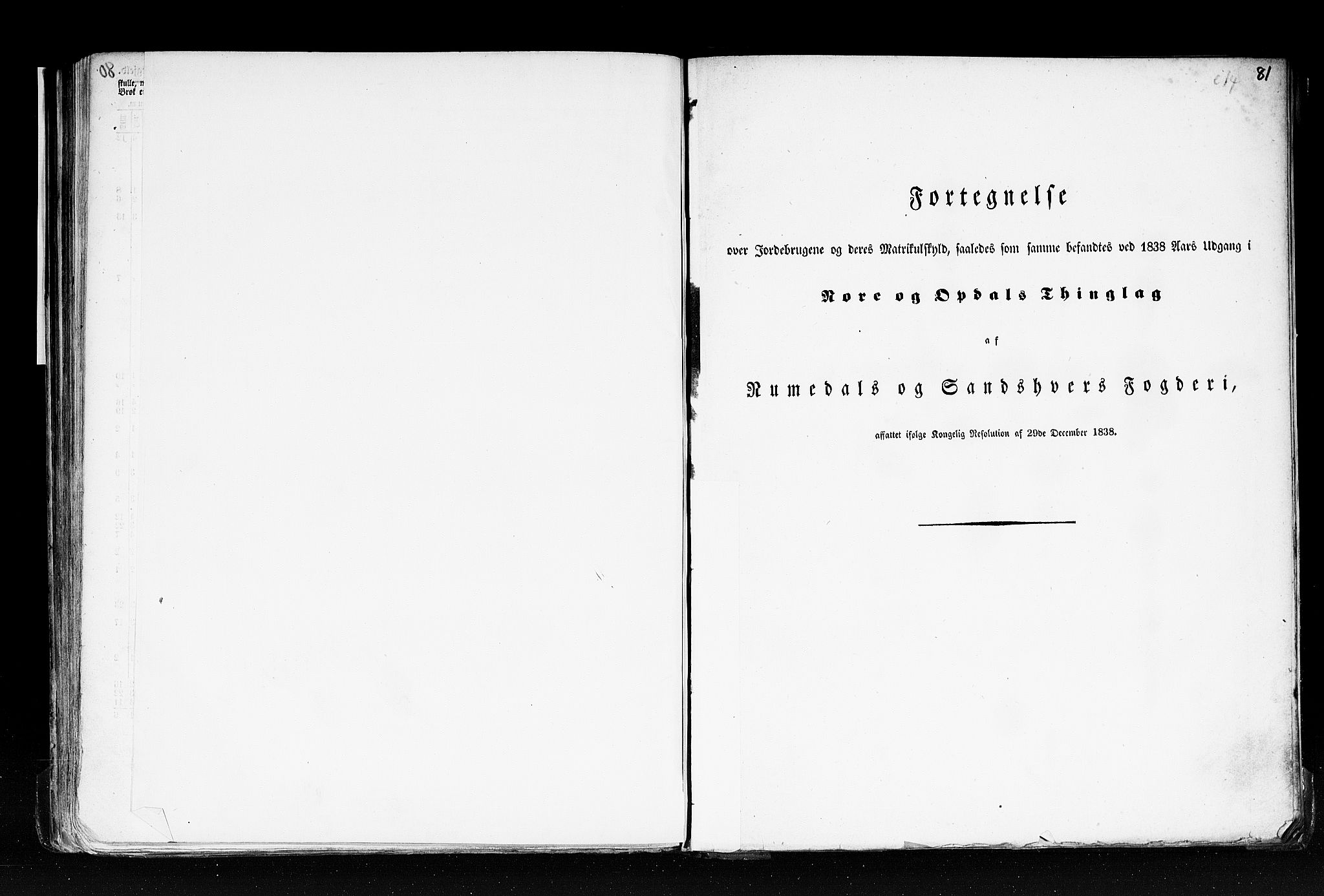 Rygh, AV/RA-PA-0034/F/Fb/L0005: Matrikkelen for 1838 - Buskerud amt (Buskerud fylke), 1838, p. 81a