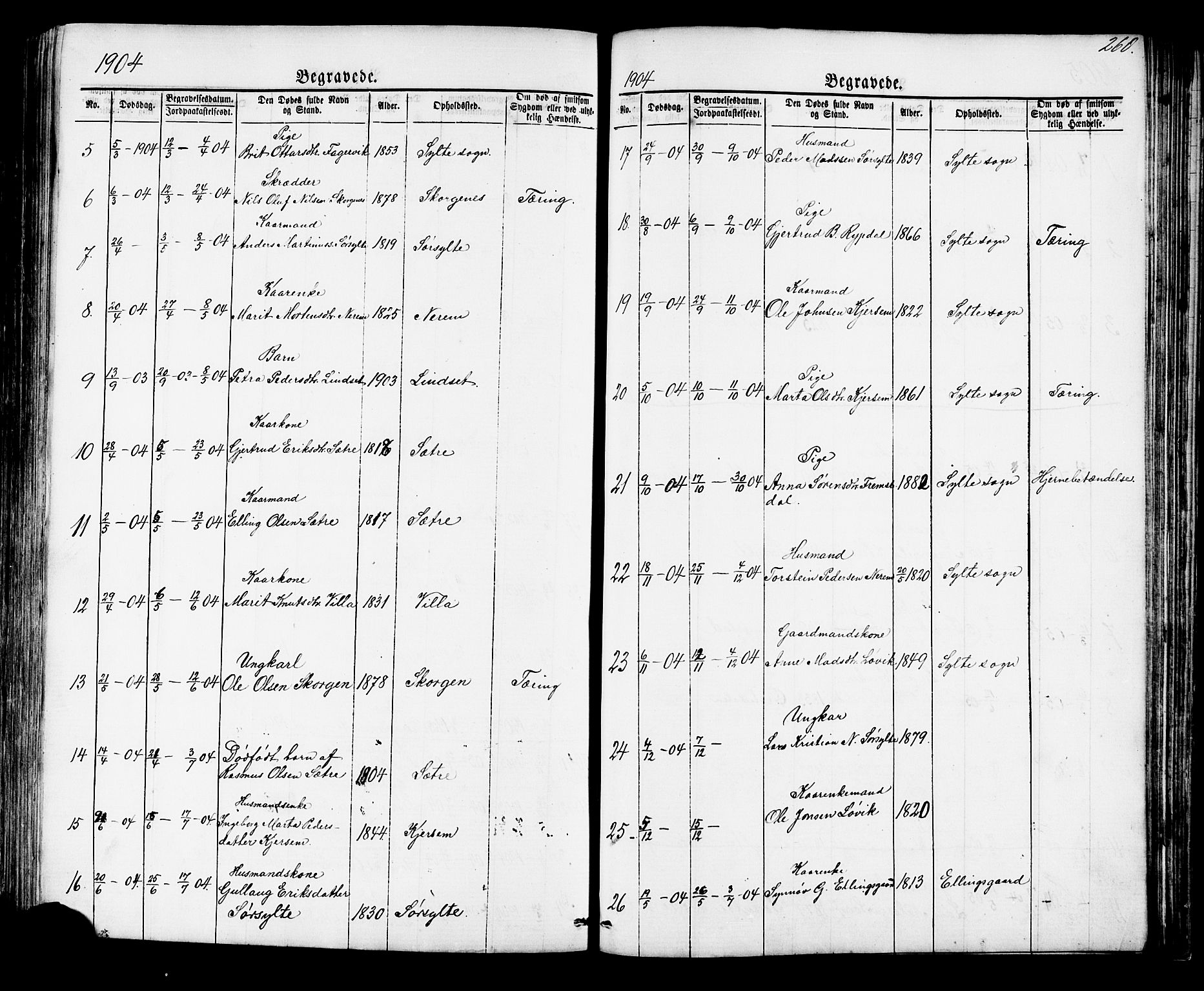 Ministerialprotokoller, klokkerbøker og fødselsregistre - Møre og Romsdal, AV/SAT-A-1454/541/L0547: Parish register (copy) no. 541C02, 1867-1921, p. 260