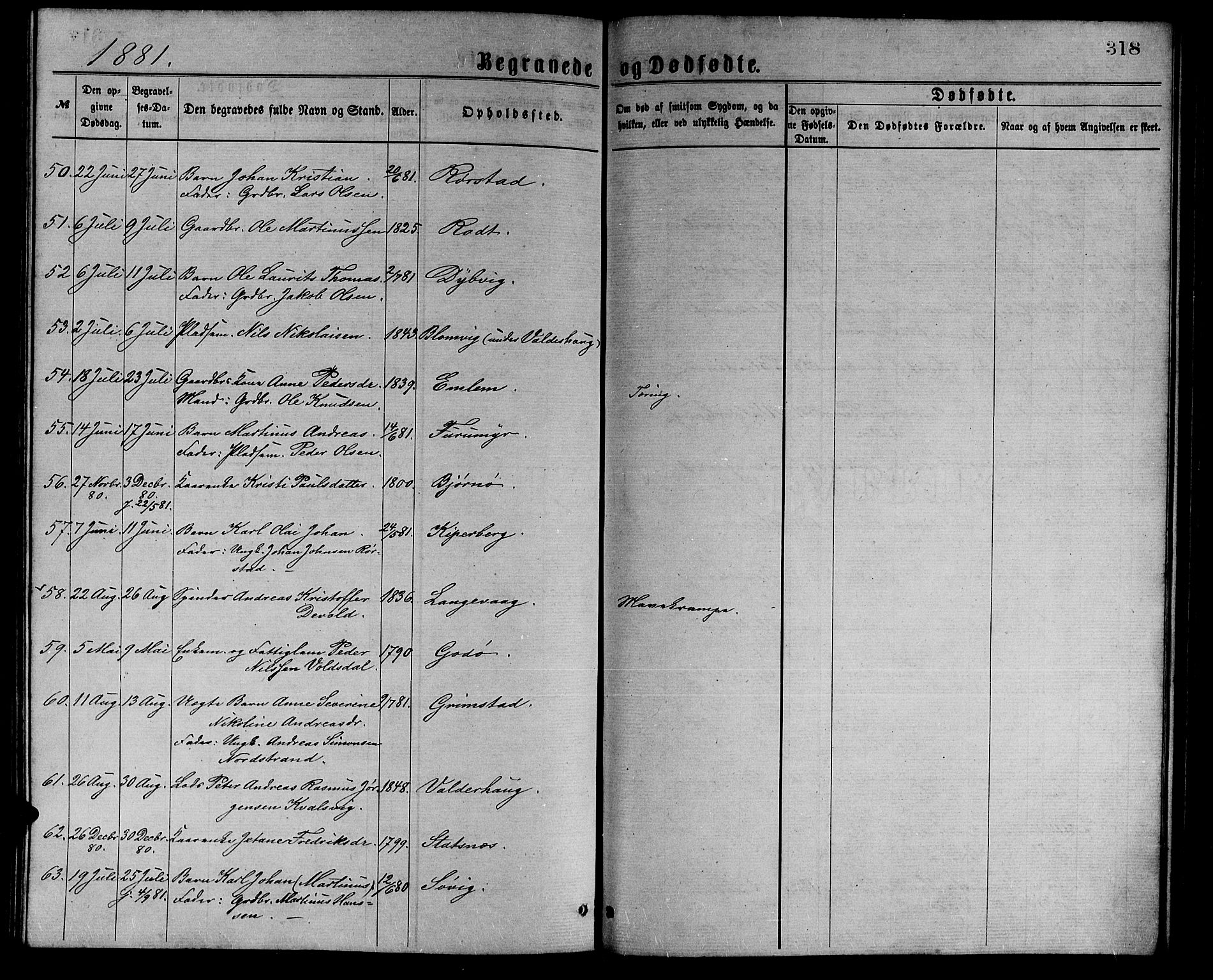 Ministerialprotokoller, klokkerbøker og fødselsregistre - Møre og Romsdal, AV/SAT-A-1454/528/L0429: Parish register (copy) no. 528C10, 1872-1886, p. 318