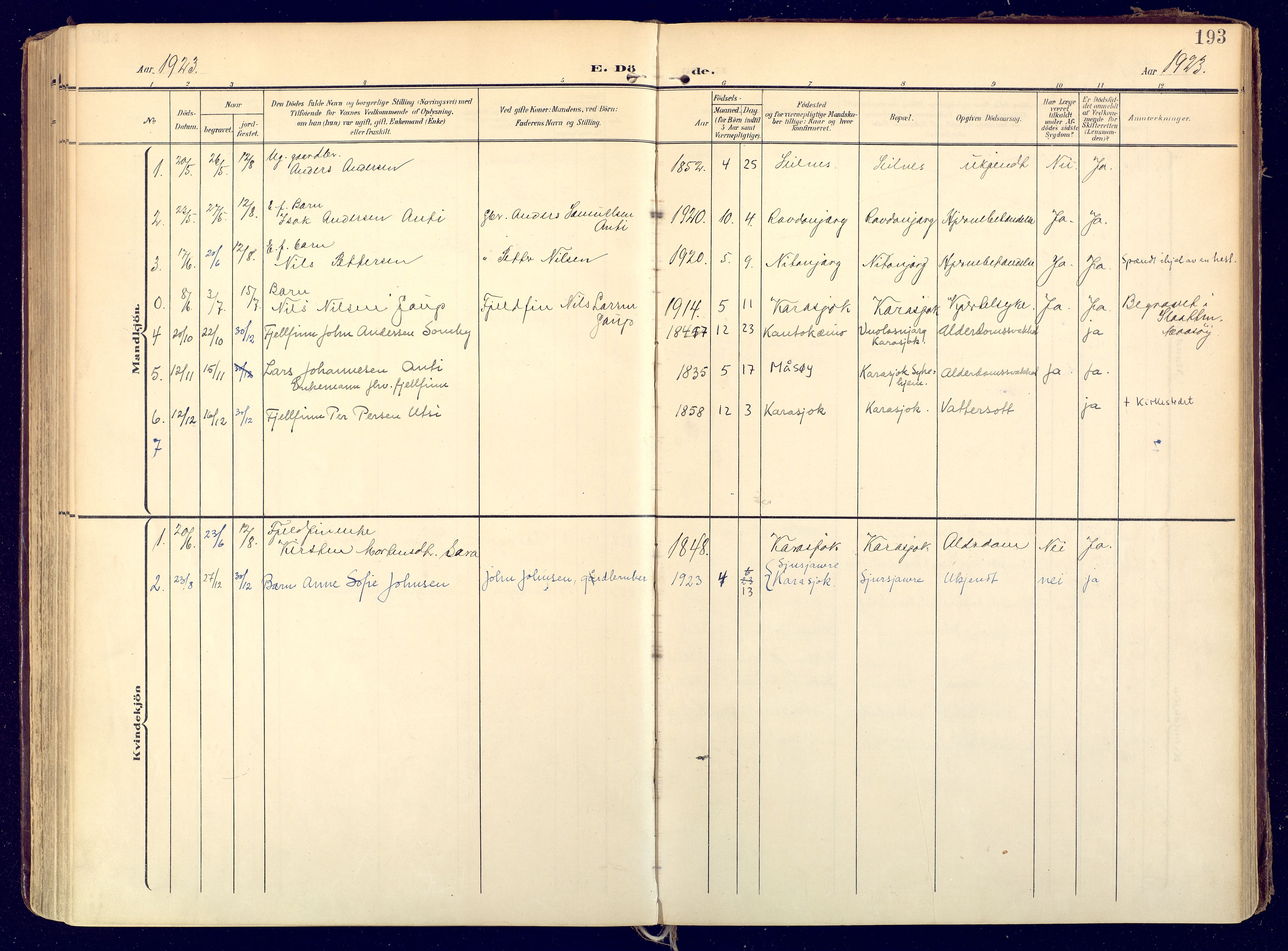 Karasjok sokneprestkontor, SATØ/S-1352/H/Ha: Parish register (official) no. 3, 1907-1926, p. 193