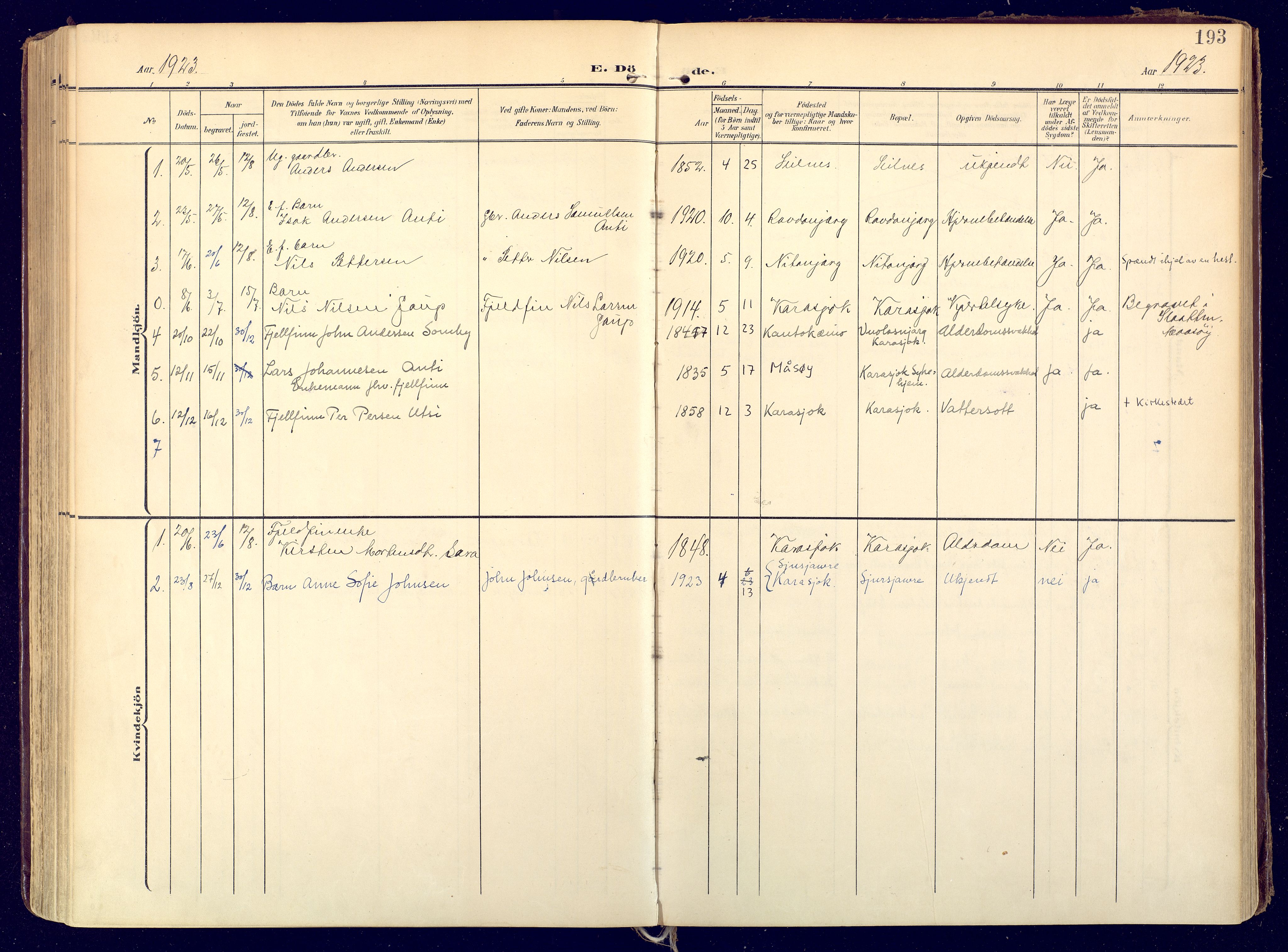 Karasjok sokneprestkontor, AV/SATØ-S-1352/H/Ha: Parish register (official) no. 3, 1907-1926, p. 193