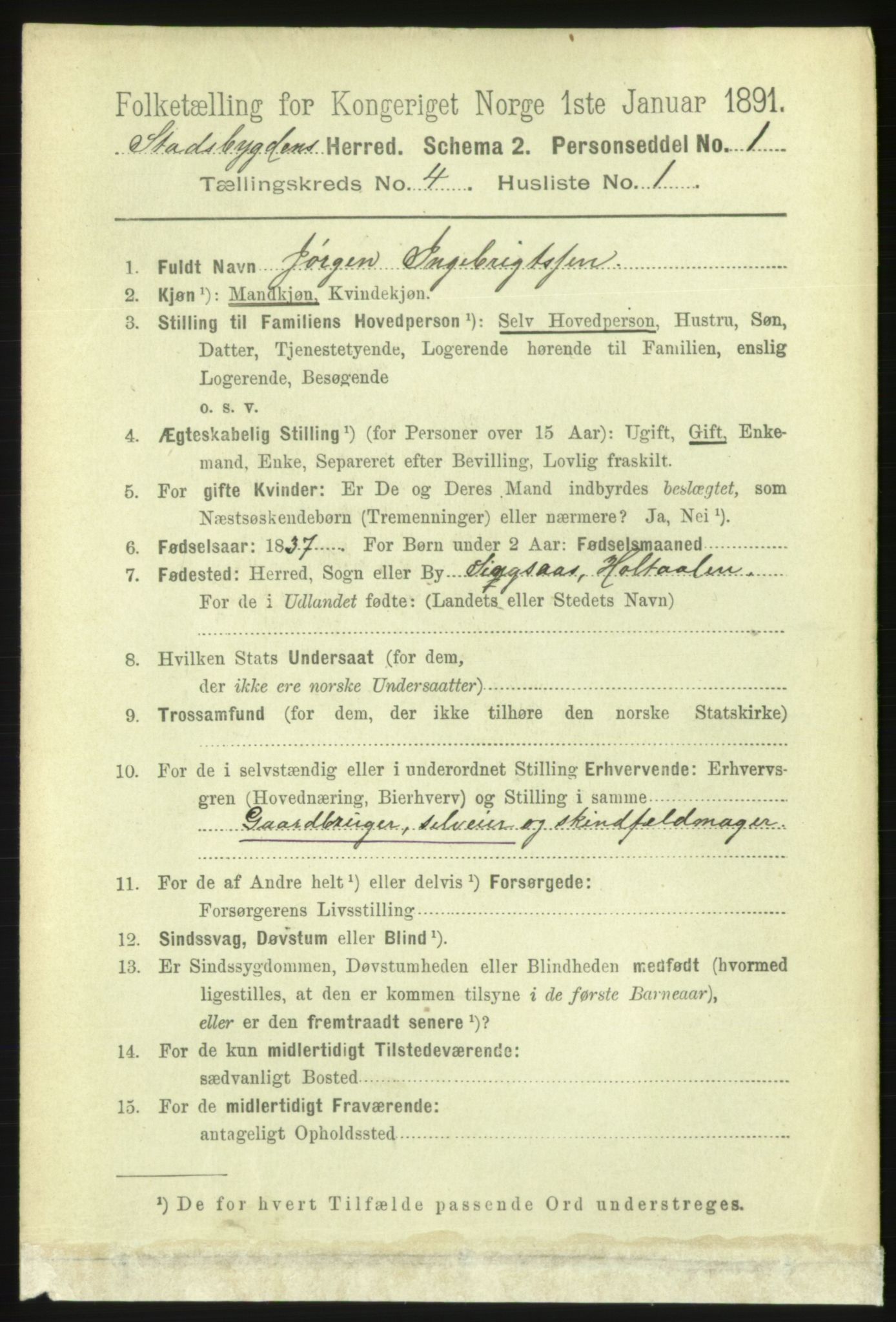 RA, 1891 census for 1625 Stadsbygd, 1891, p. 1821