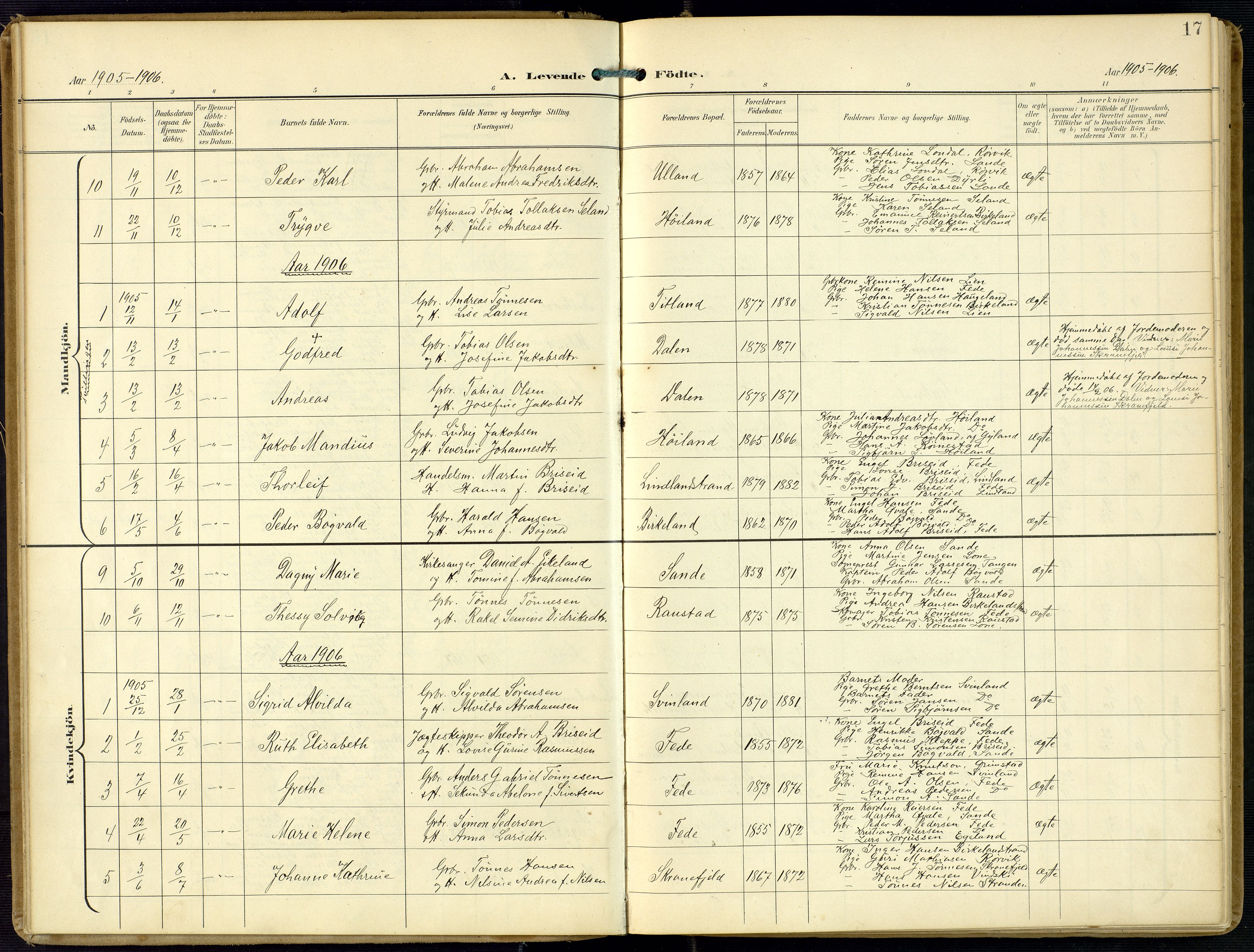 Kvinesdal sokneprestkontor, AV/SAK-1111-0026/F/Fa/Faa/L0005: Parish register (official) no. A 5, 1898-1915, p. 17