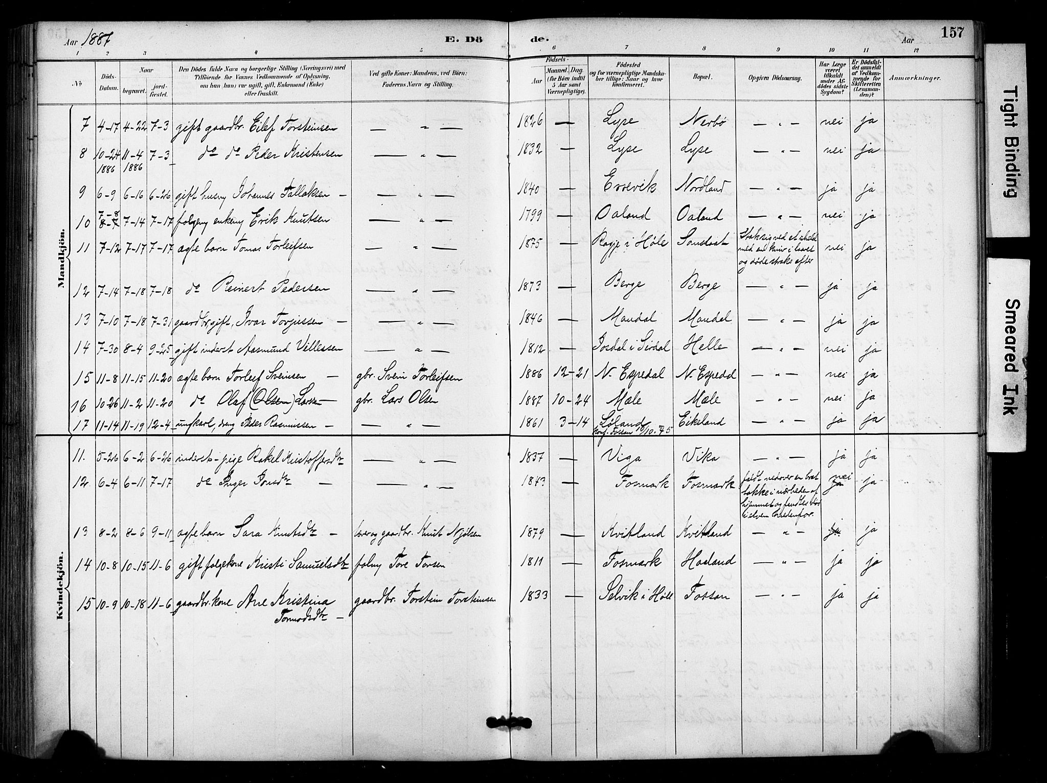 Høgsfjord sokneprestkontor, AV/SAST-A-101624/H/Ha/Haa/L0006: Parish register (official) no. A 6, 1885-1897, p. 157