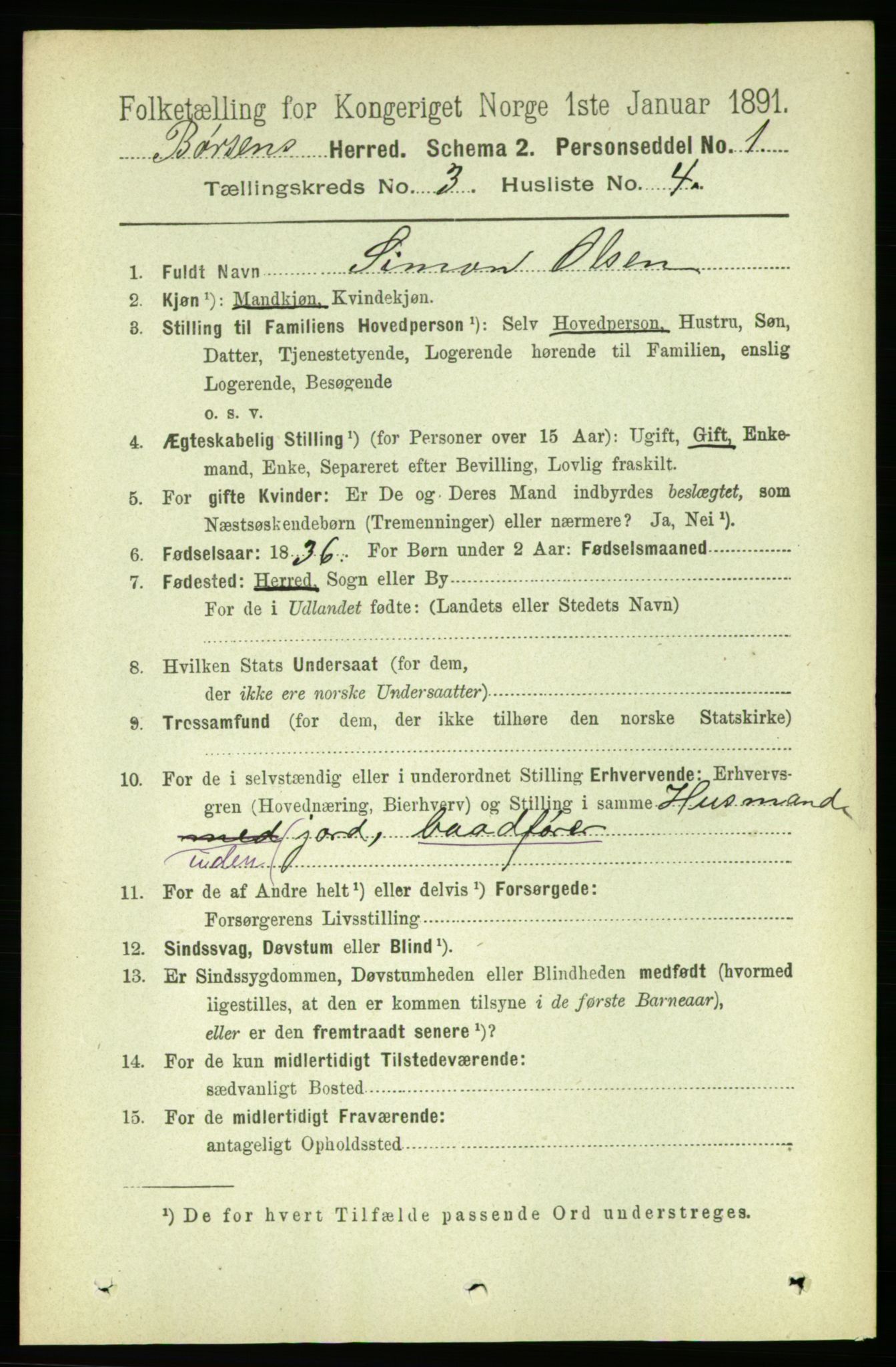 RA, 1891 census for 1658 Børsa, 1891, p. 888