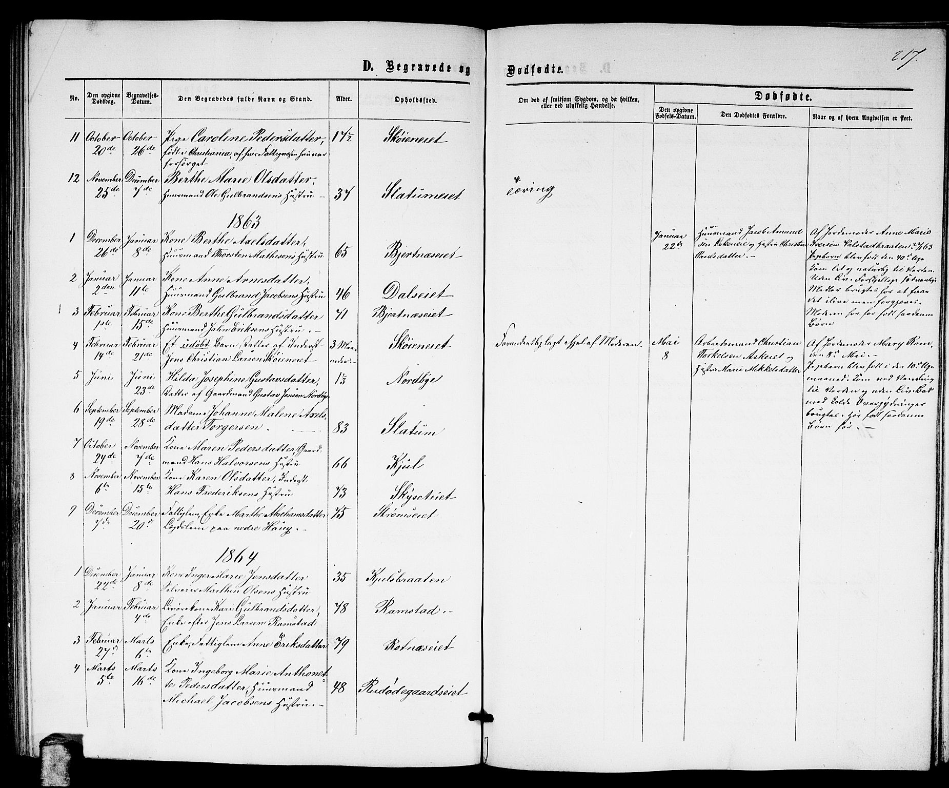 Nittedal prestekontor Kirkebøker, AV/SAO-A-10365a/G/Ga/L0001: Parish register (copy) no. I 1, 1859-1878, p. 217