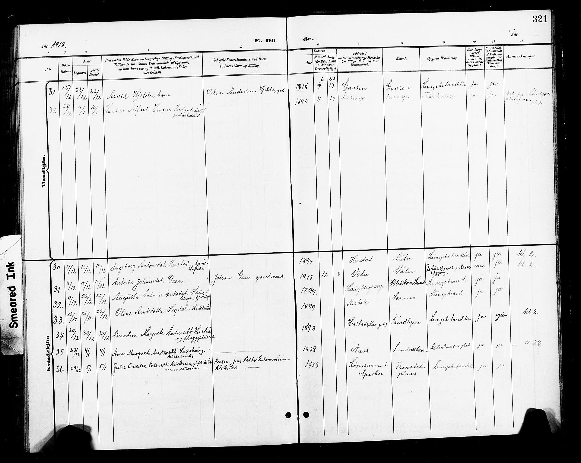 Ministerialprotokoller, klokkerbøker og fødselsregistre - Nord-Trøndelag, SAT/A-1458/730/L0302: Parish register (copy) no. 730C05, 1898-1924, p. 321