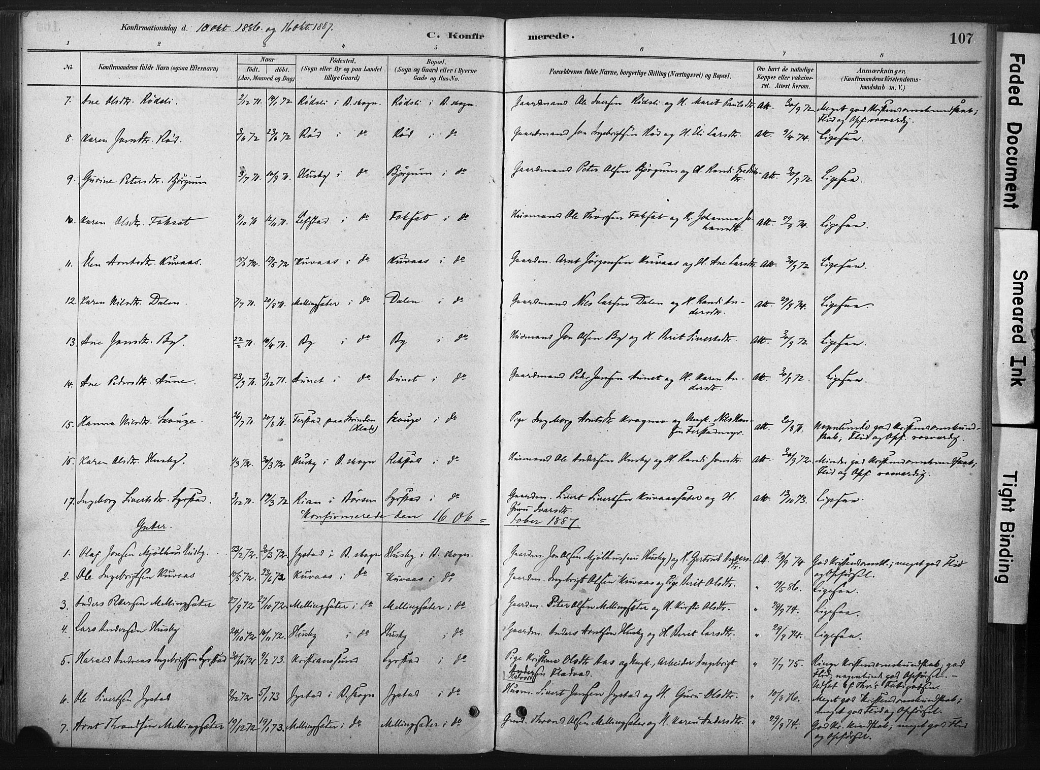 Ministerialprotokoller, klokkerbøker og fødselsregistre - Sør-Trøndelag, SAT/A-1456/667/L0795: Parish register (official) no. 667A03, 1879-1907, p. 107