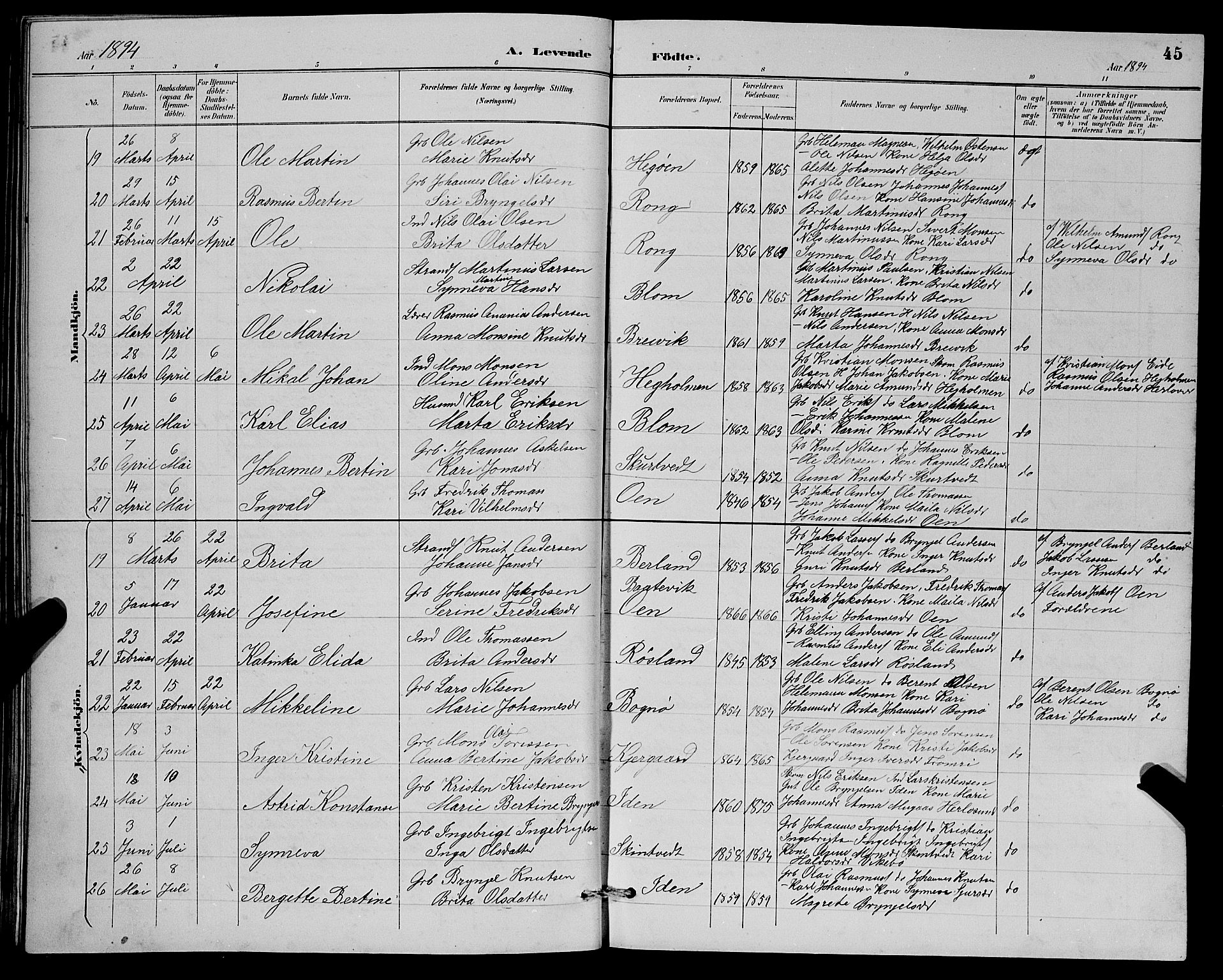 Herdla Sokneprestembete, AV/SAB-A-75701/H/Hab: Parish register (copy) no. A 3, 1889-1899, p. 45