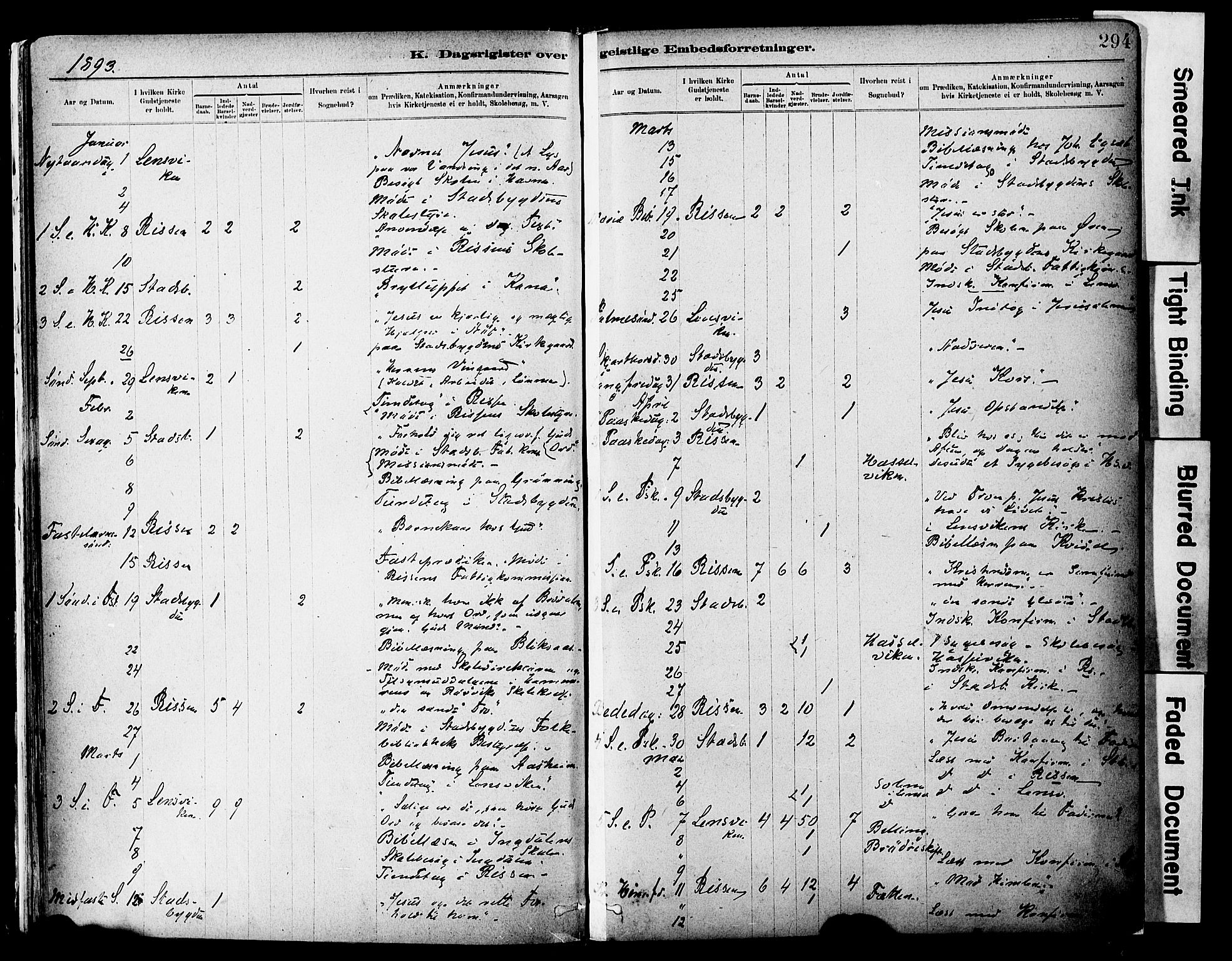 Ministerialprotokoller, klokkerbøker og fødselsregistre - Sør-Trøndelag, SAT/A-1456/646/L0615: Parish register (official) no. 646A13, 1885-1900, p. 294