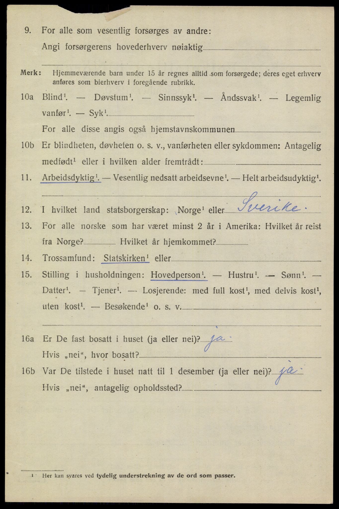 SAKO, 1920 census for Heddal, 1920, p. 4949