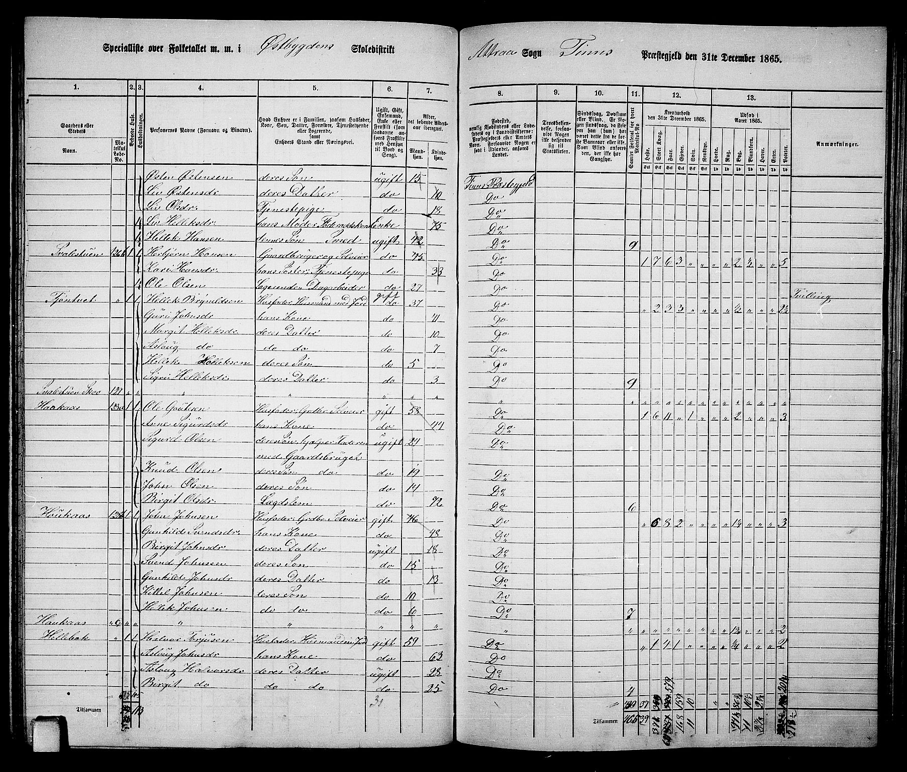 RA, 1865 census for Tinn, 1865, p. 25