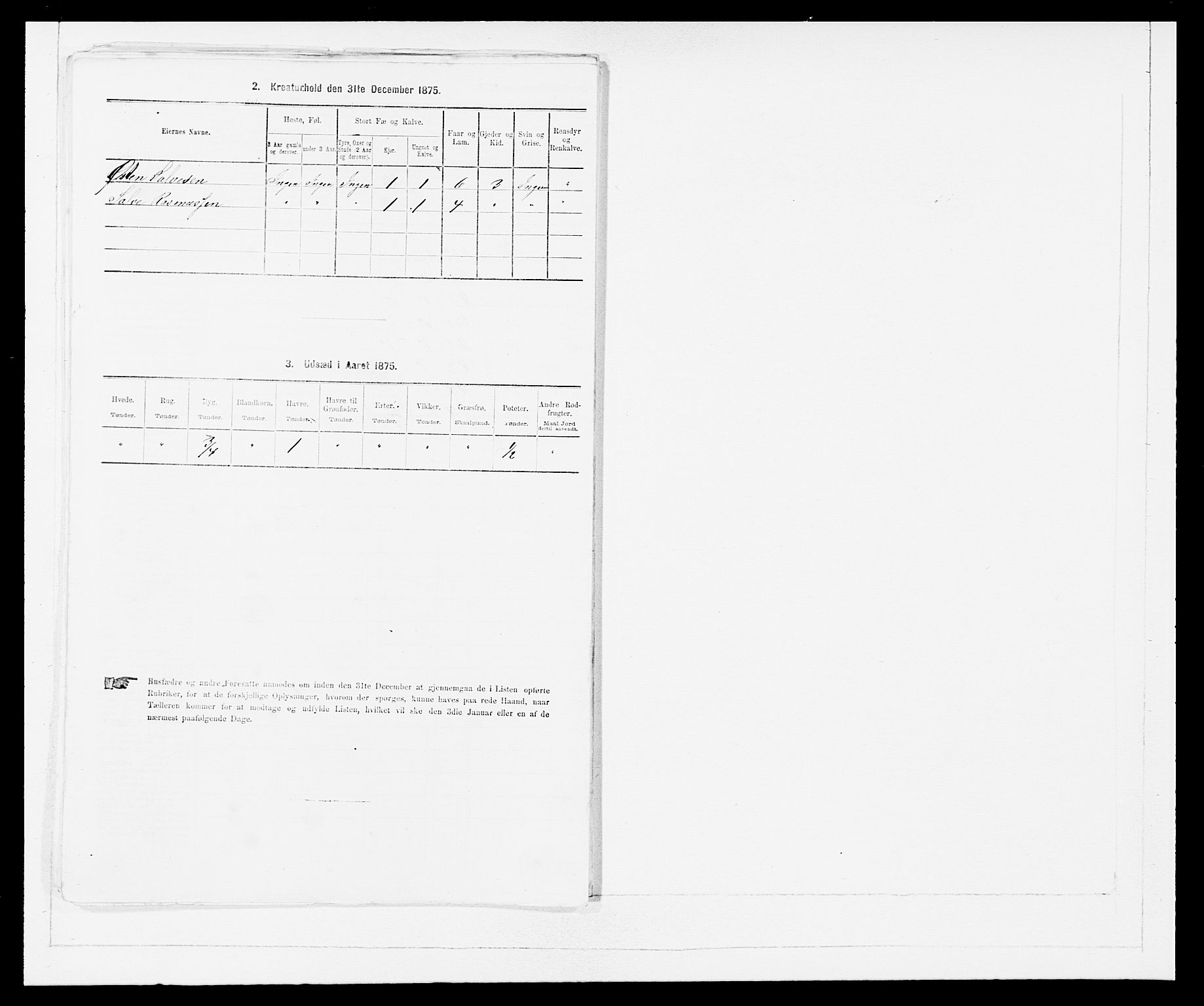 SAB, 1875 Census for 1448P Stryn, 1875, p. 545