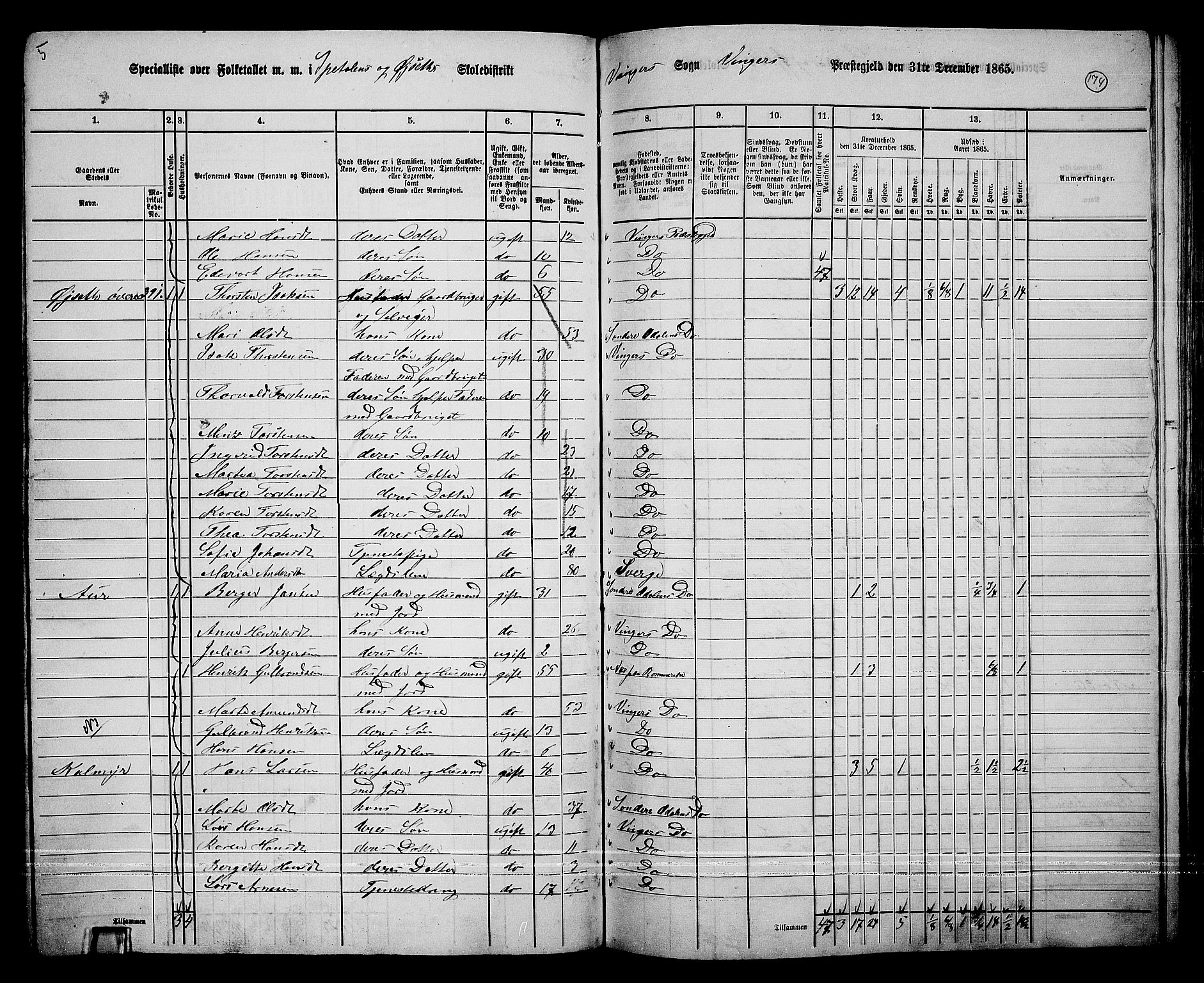 RA, 1865 census for Vinger/Vinger og Austmarka, 1865, p. 159