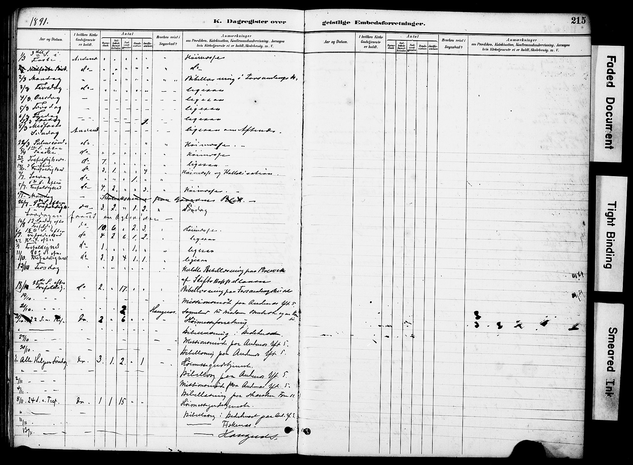 Ministerialprotokoller, klokkerbøker og fødselsregistre - Nordland, AV/SAT-A-1459/899/L1448: Parish register (copy) no. 899C03, 1887-1902, p. 215