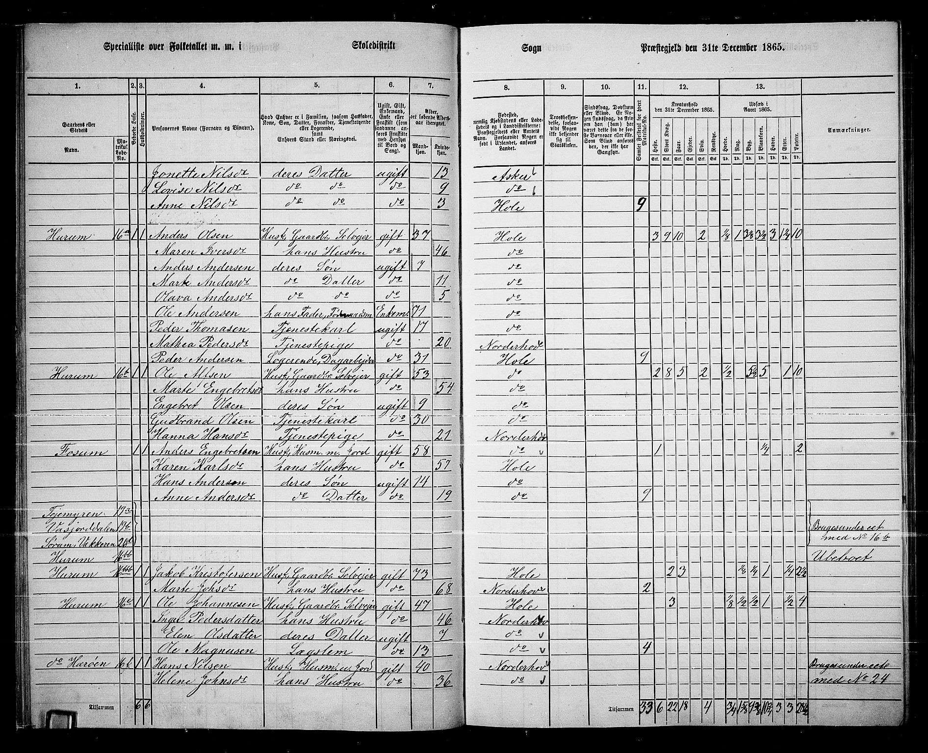 RA, 1865 census for Hole, 1865, p. 20