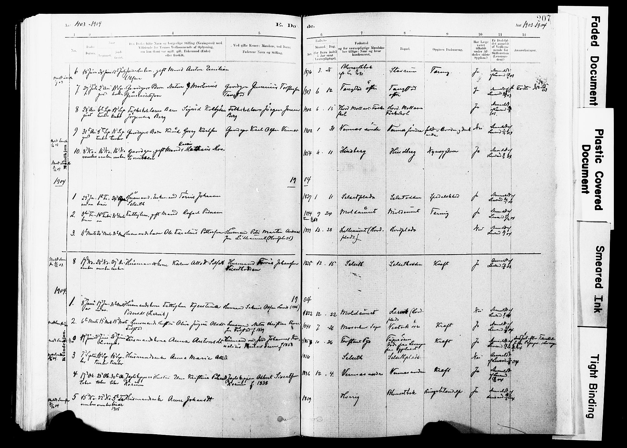 Ministerialprotokoller, klokkerbøker og fødselsregistre - Nord-Trøndelag, SAT/A-1458/744/L0420: Parish register (official) no. 744A04, 1882-1904, p. 207