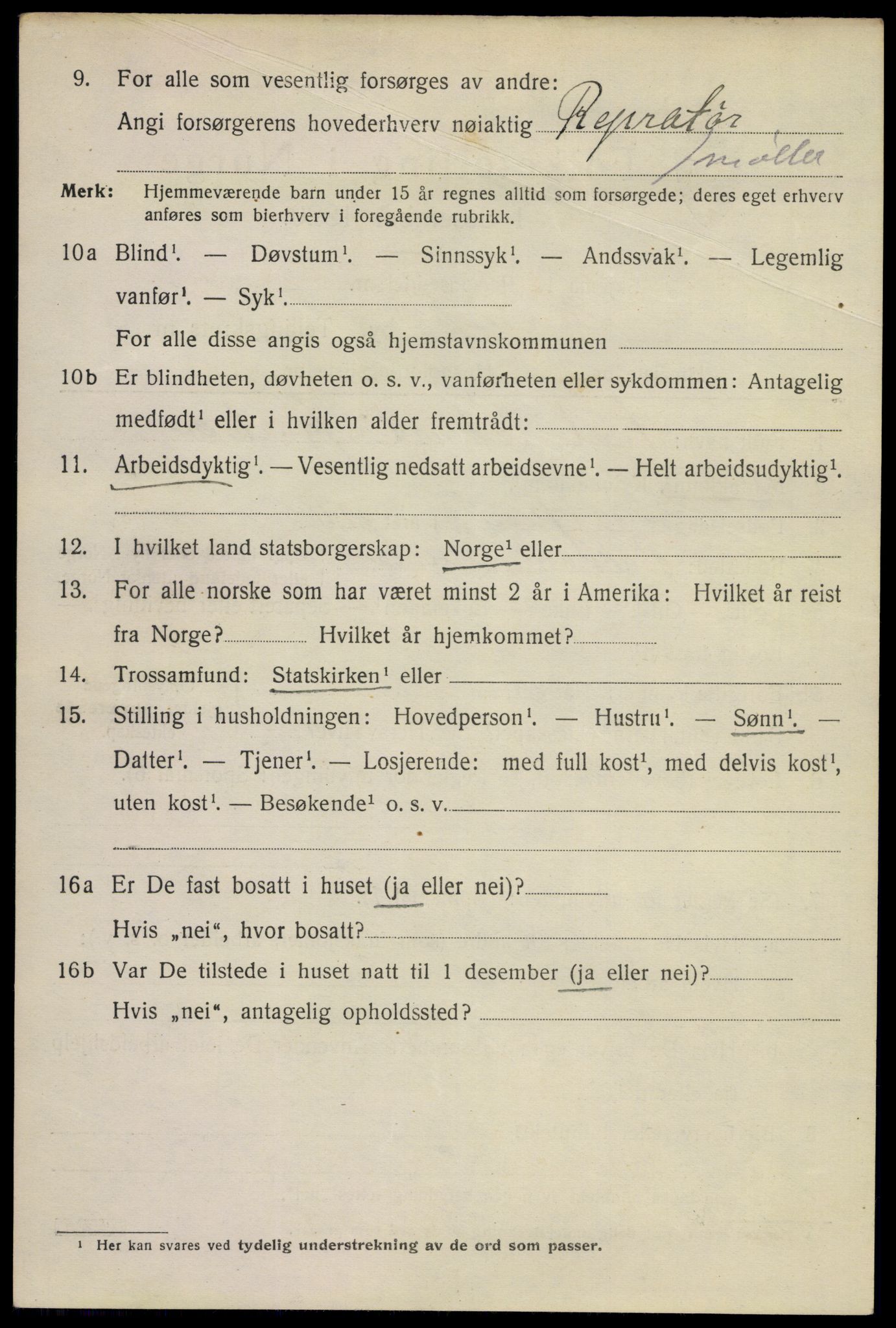 SAKO, 1920 census for Larvik, 1920, p. 13023