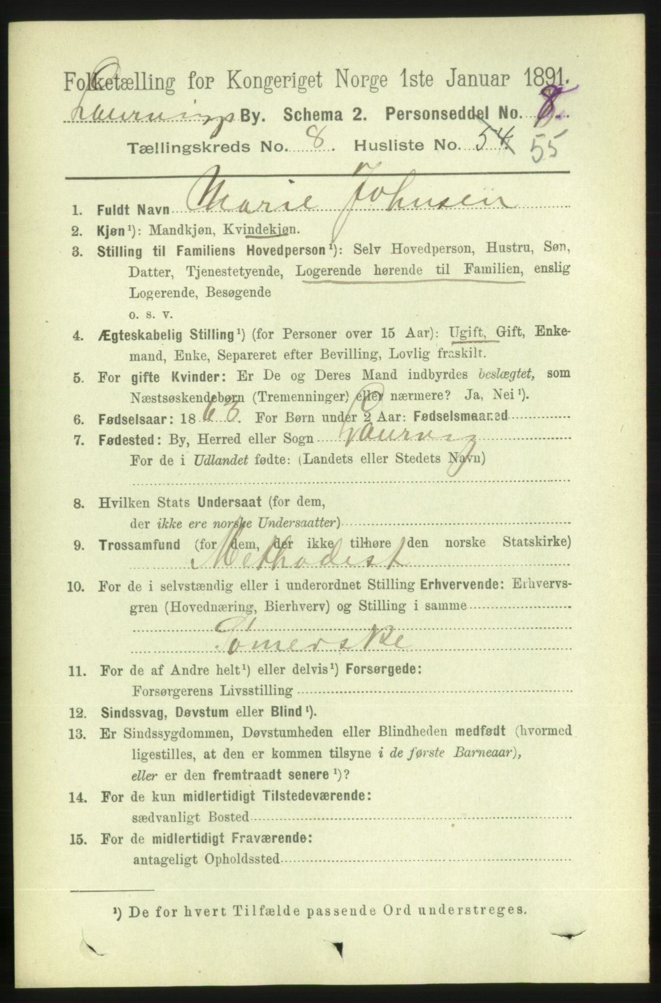 RA, 1891 census for 0707 Larvik, 1891, p. 8486