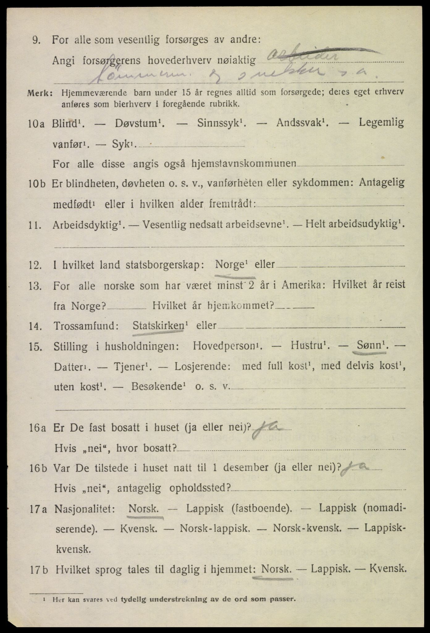 SAT, 1920 census for Borge, 1920, p. 4166