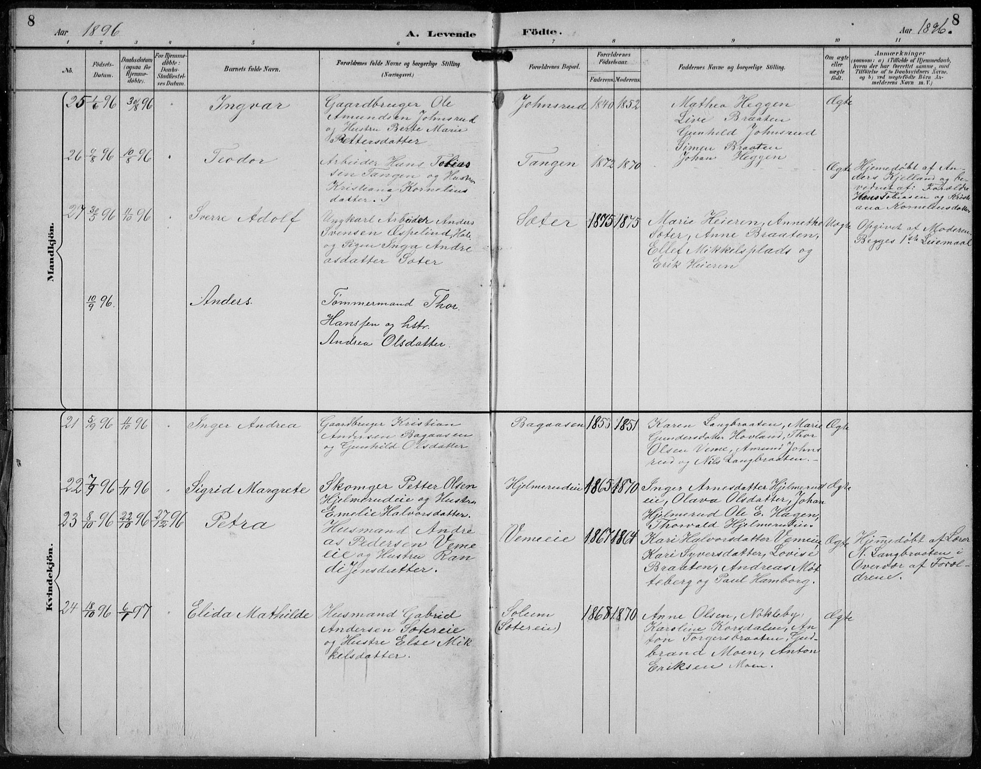 Lunder kirkebøker, AV/SAKO-A-629/F/Fb/L0001: Parish register (official) no. II 1, 1893-1916, p. 8