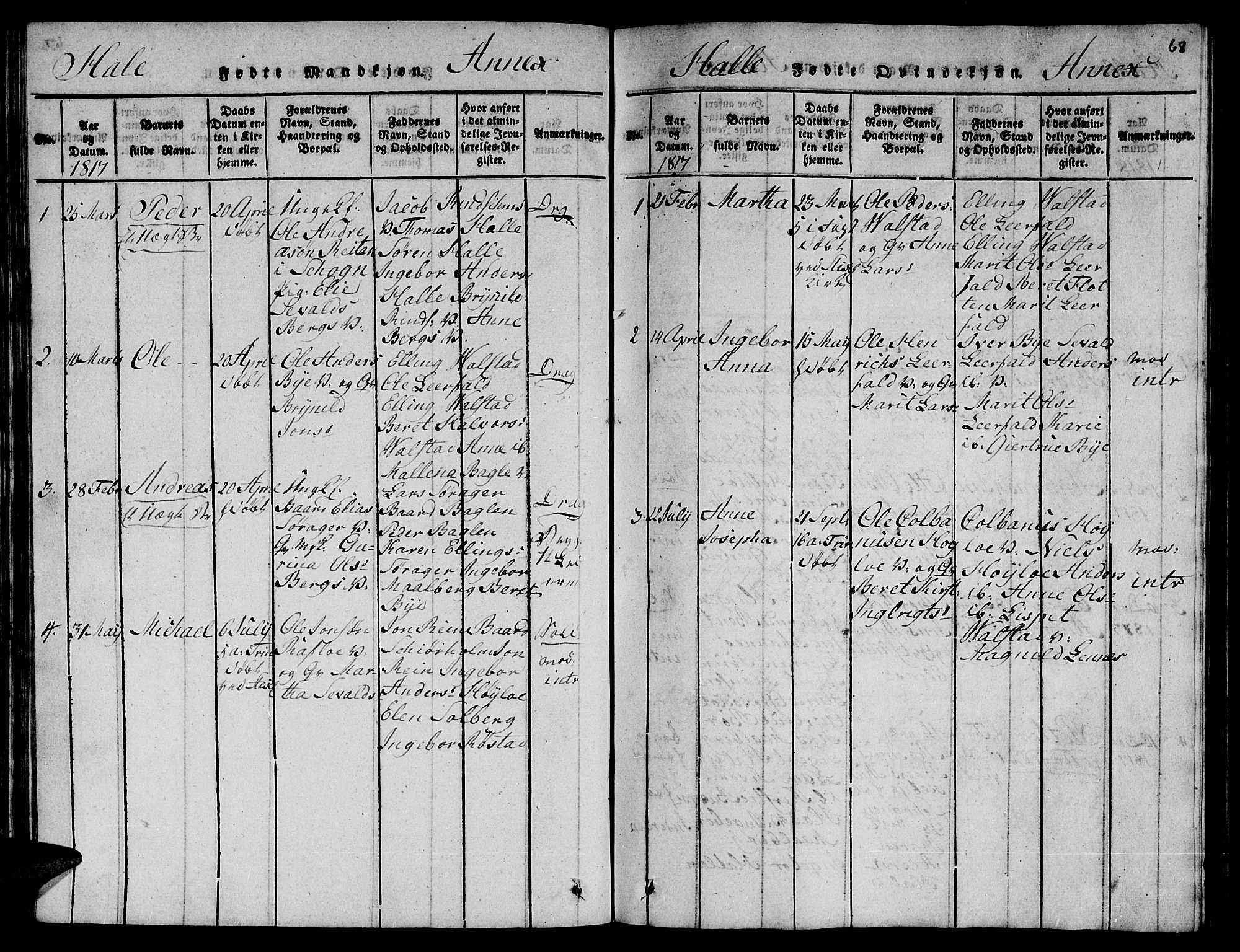 Ministerialprotokoller, klokkerbøker og fødselsregistre - Nord-Trøndelag, SAT/A-1458/723/L0251: Parish register (copy) no. 723C01 /3, 1817-1821, p. 68