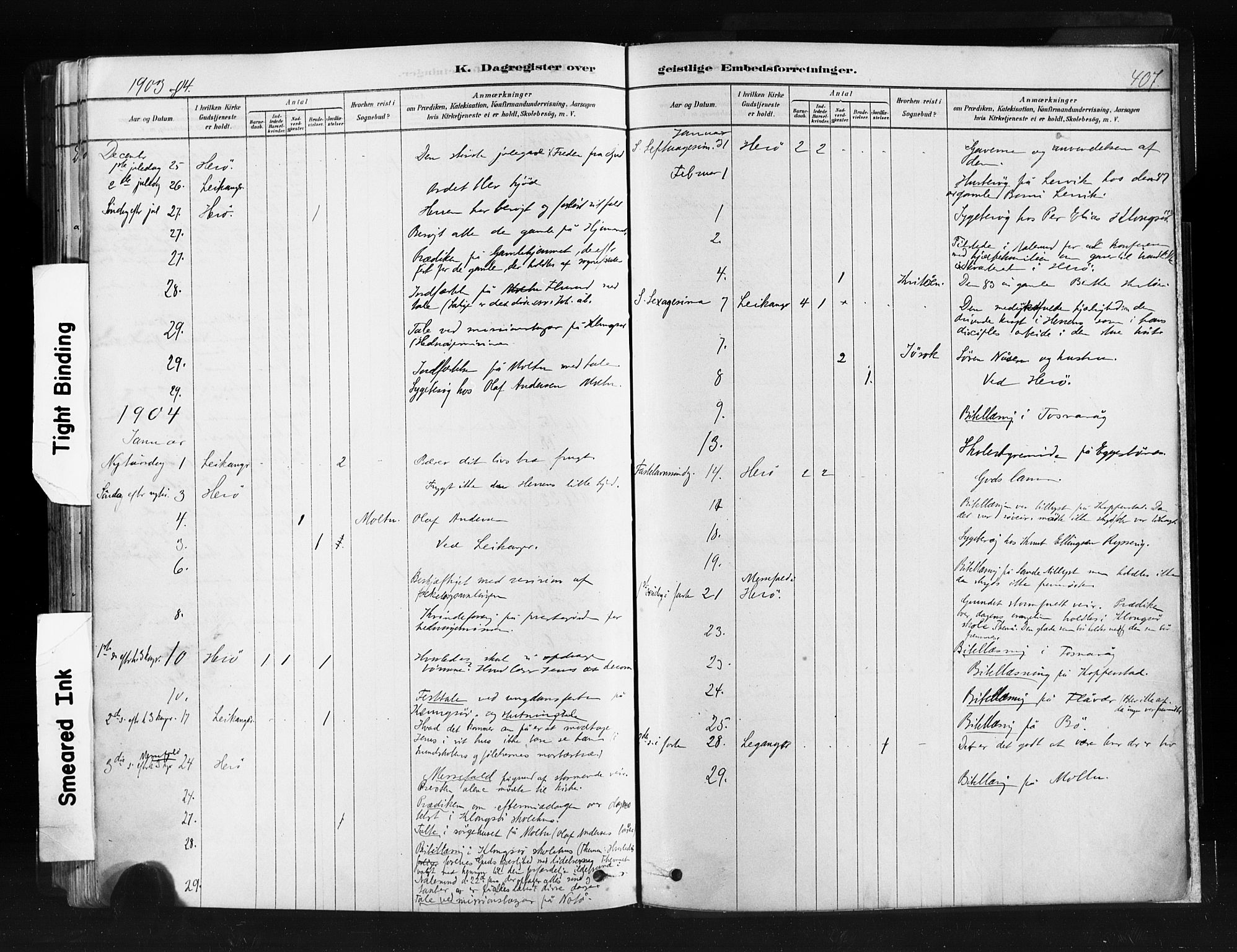 Ministerialprotokoller, klokkerbøker og fødselsregistre - Møre og Romsdal, SAT/A-1454/507/L0073: Parish register (official) no. 507A08, 1878-1904, p. 407